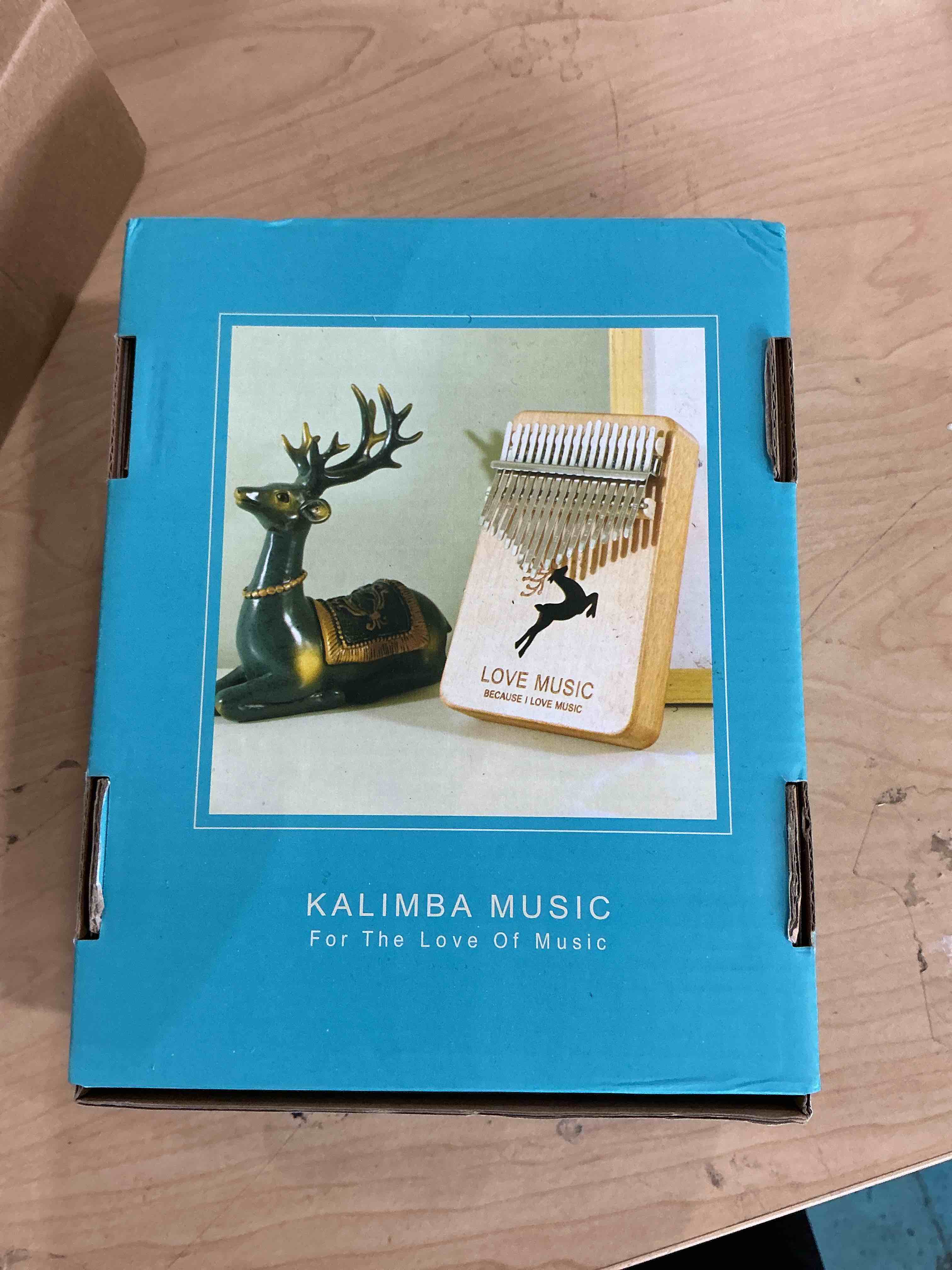 Condition photo showing Brand New for kalimba lessons for beginners with 50 songs: theory and practice + online videos