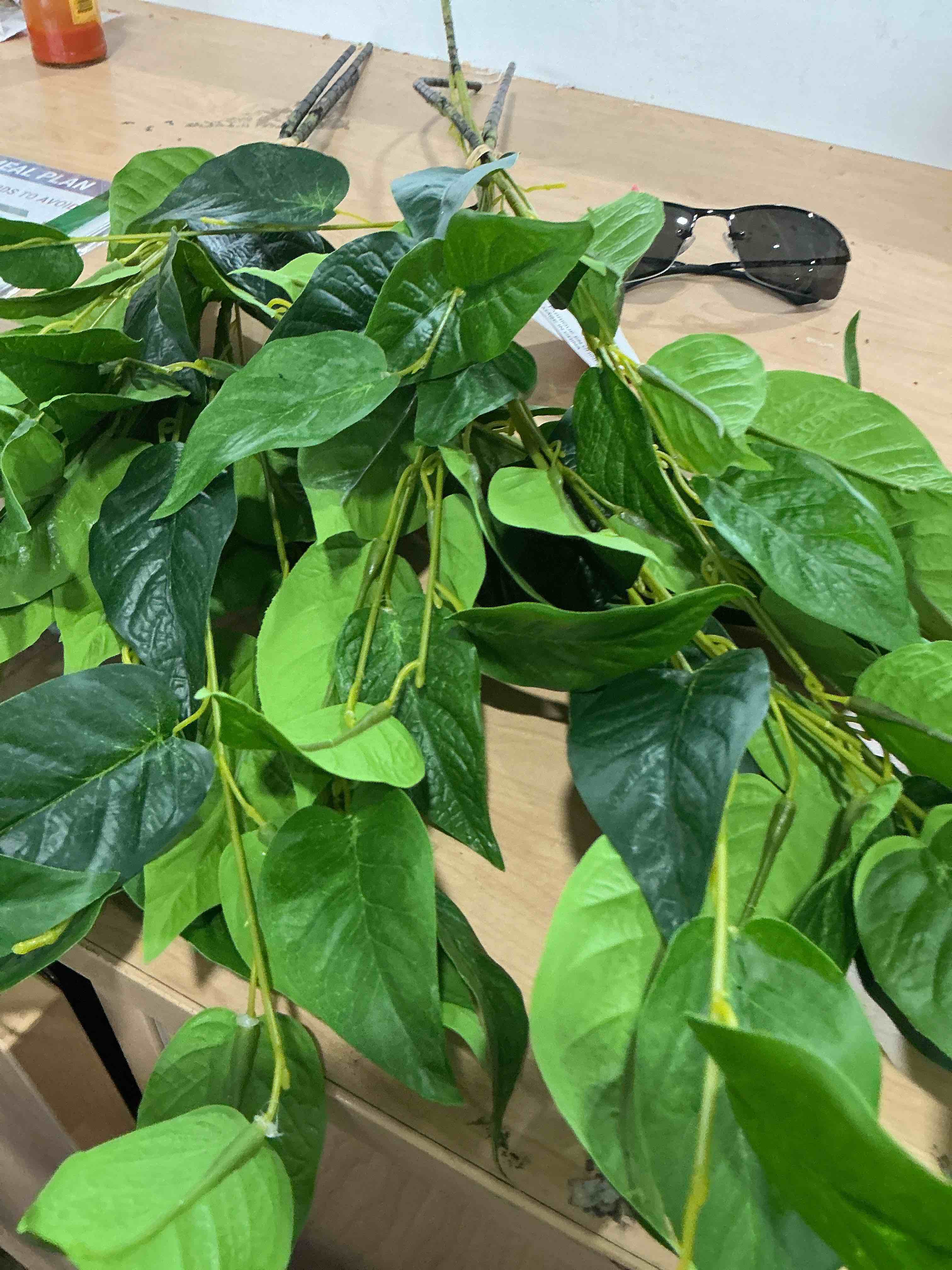 Condition photo showing New/Like New for waipfaru greenery stems for vases, 32.7 inch artificial eucalyptus green fake leaves branches, faux olive silk plants for centerpieces vase filler home kitchen decor