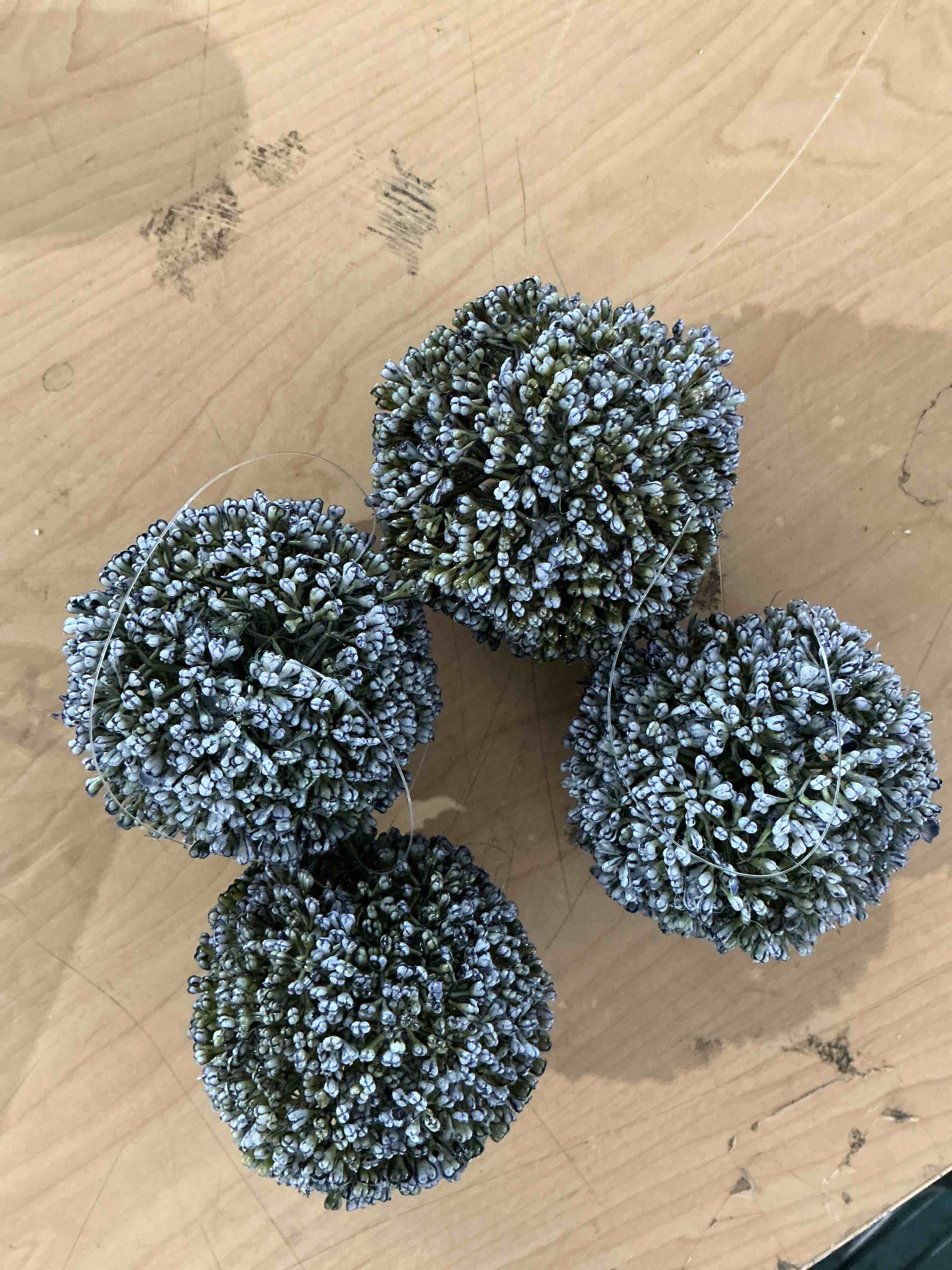 Condition photo showing New/Like New for creative display decorative sedum collection set up for artificial floral steams home or office decor