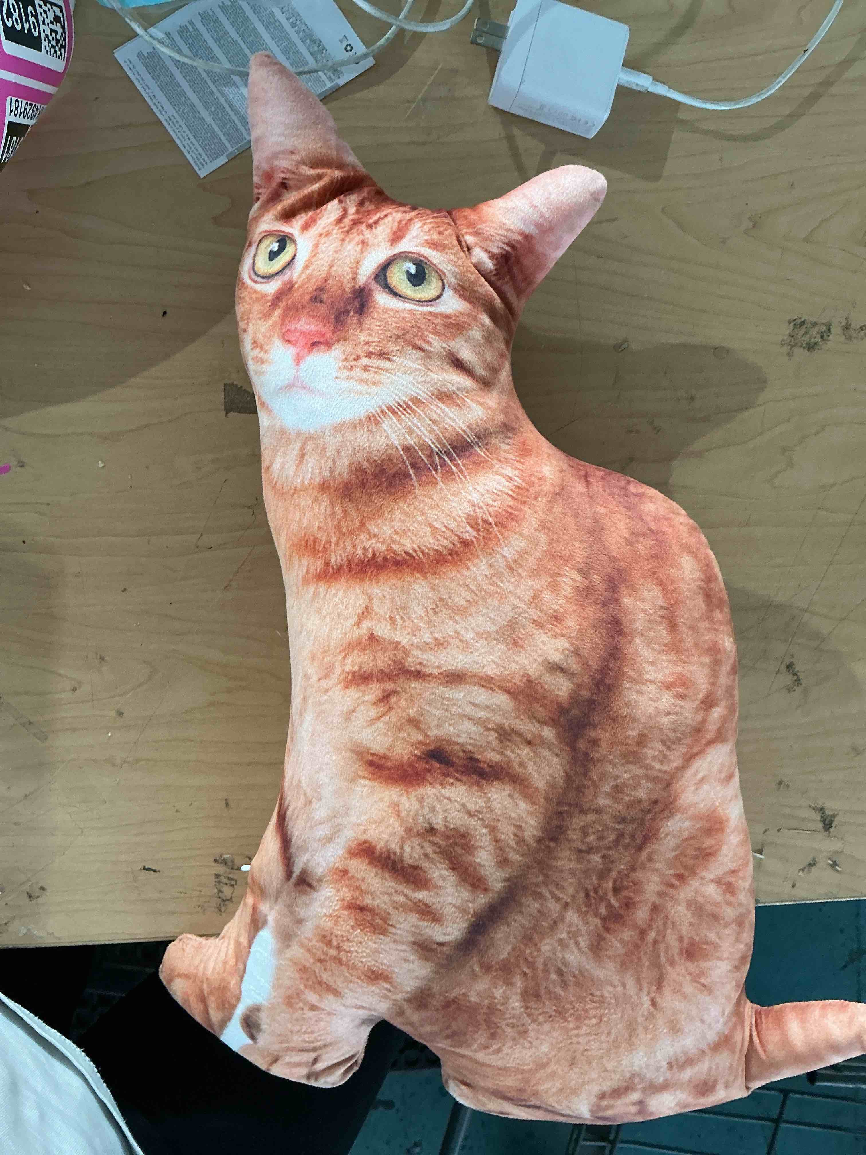 Condition photo showing New/Like New for cat pillow personalized cat photo pillow cat lover gifts