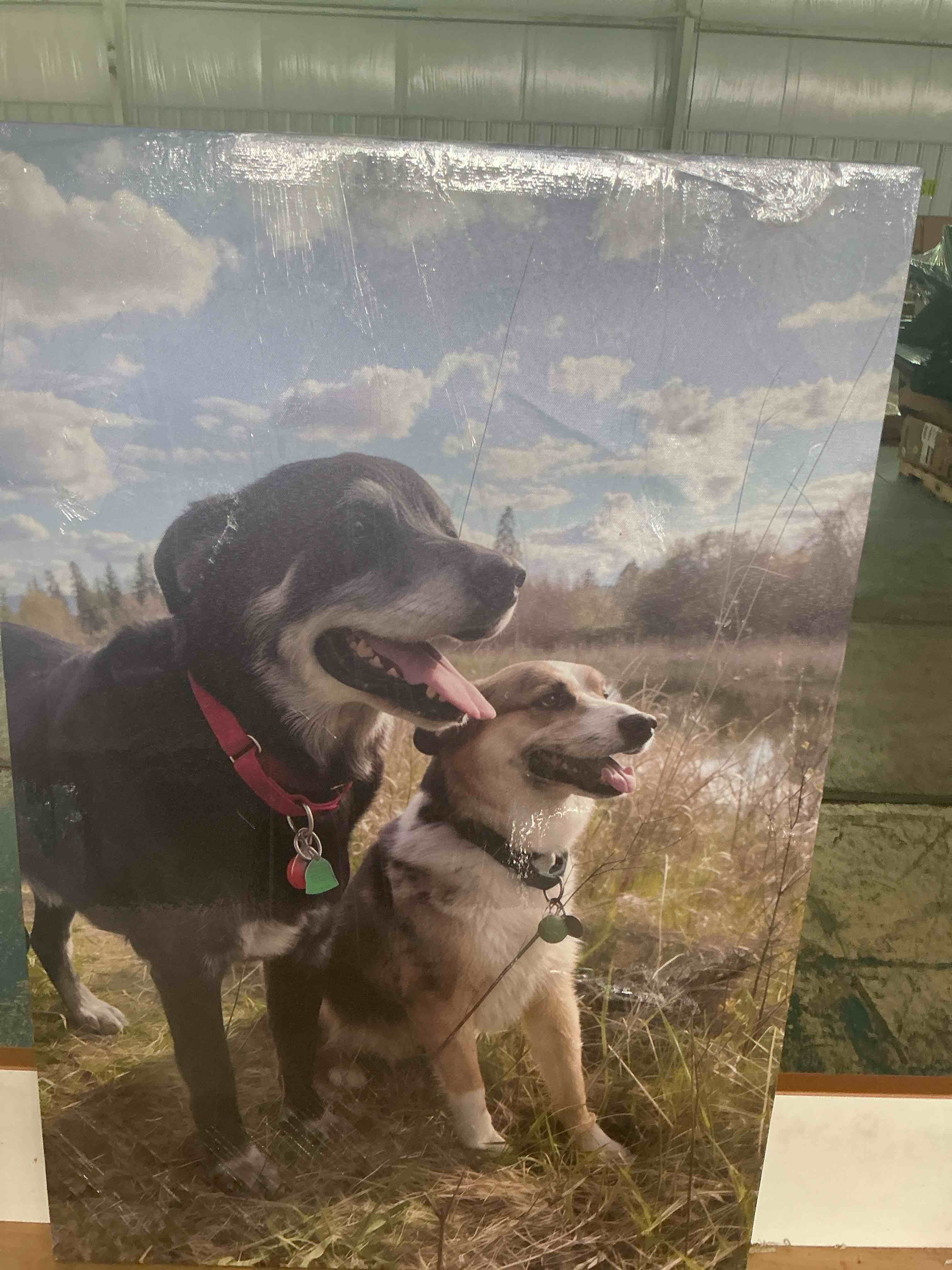 Condition photo showing Brand New for drollx custom wall art photo on personalized picture frame