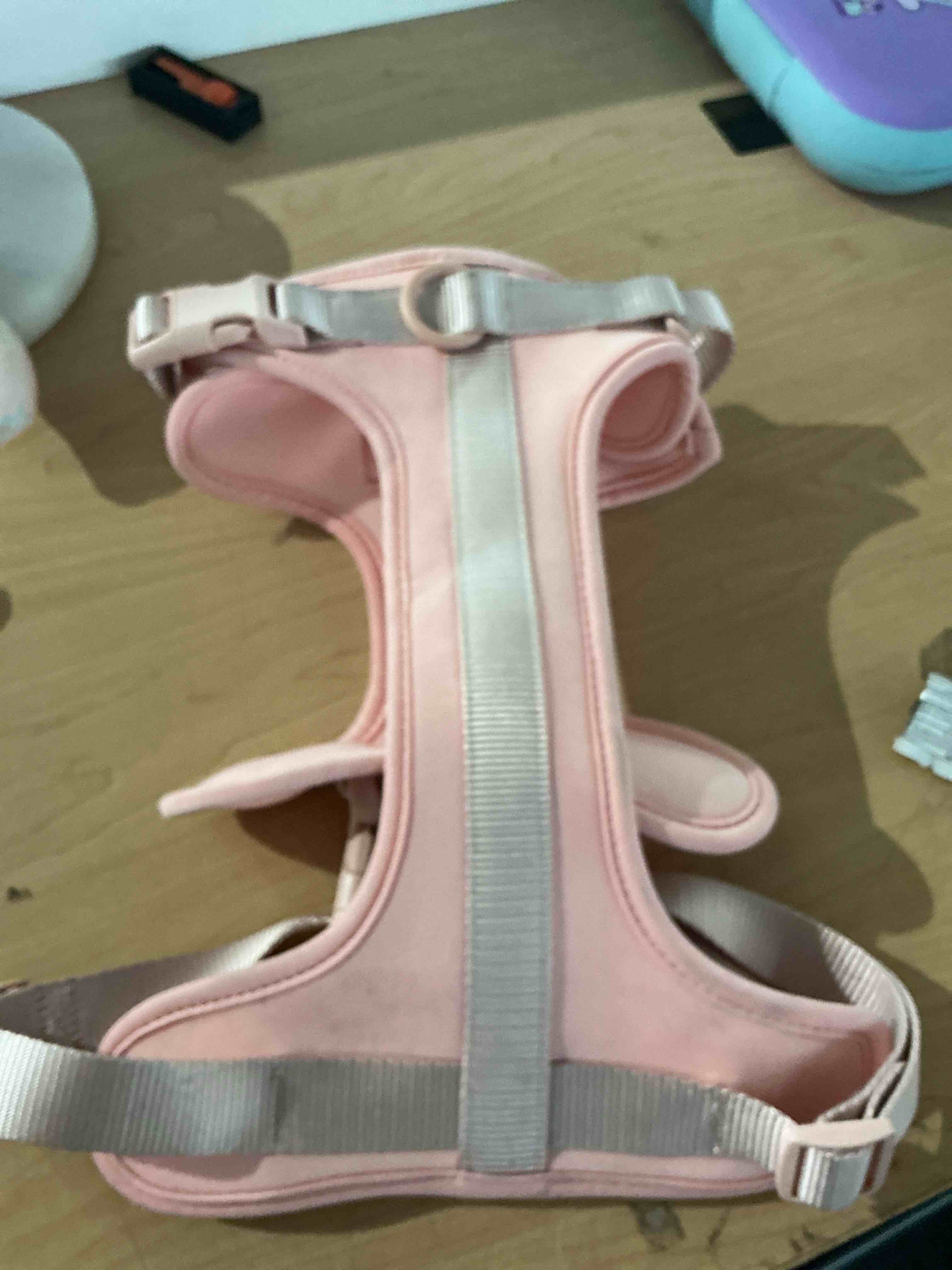 Condition photo showing New/Like New for pink vibrant, life adjustable neoprene harness for dogs featuring do plastic clips and soft neoprene padding for comfort