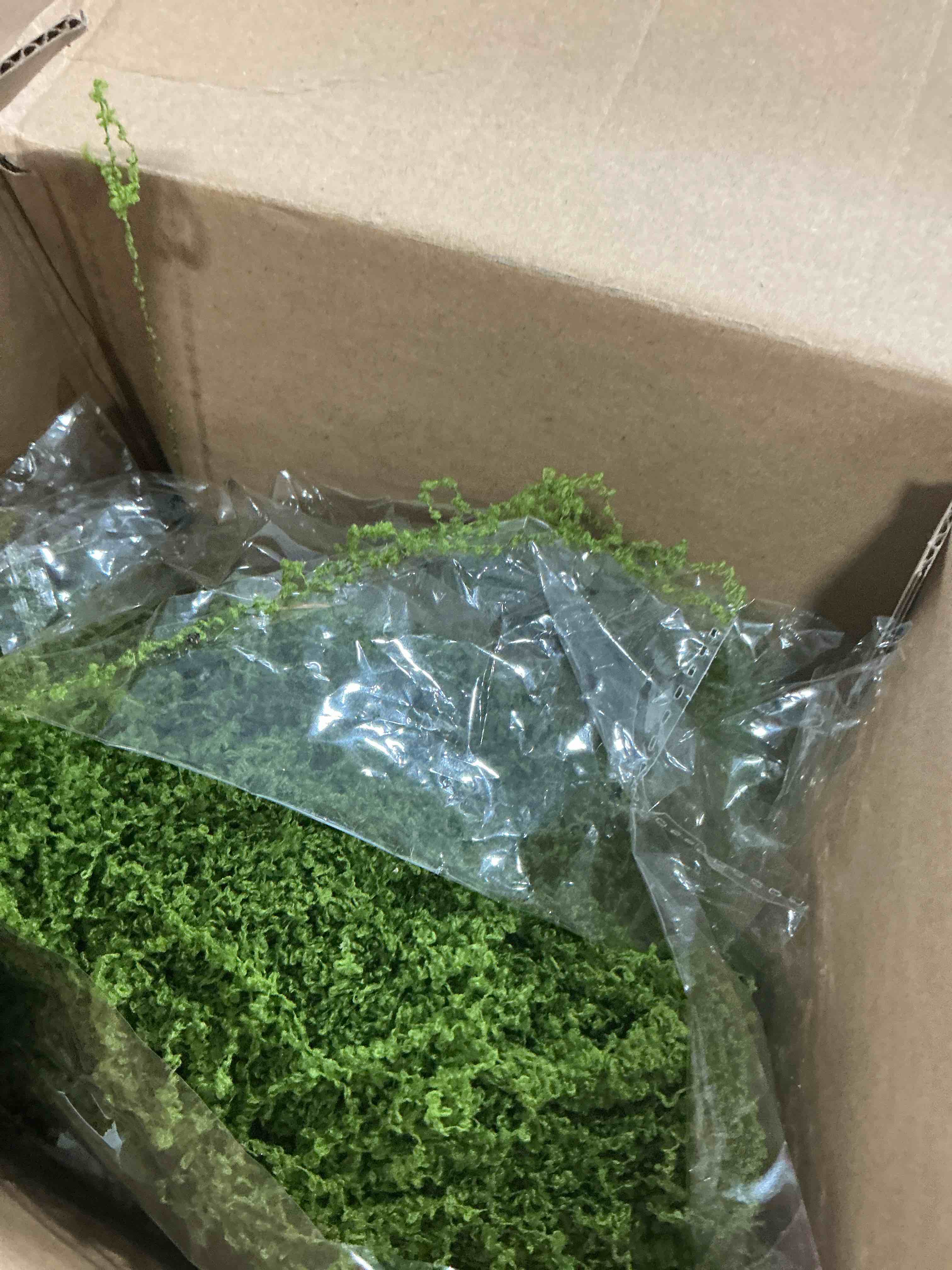 https://s3.amazonaws.com/lotting-images-prod/NonstopDeals/PNK4932050_1774625216595.jpeg