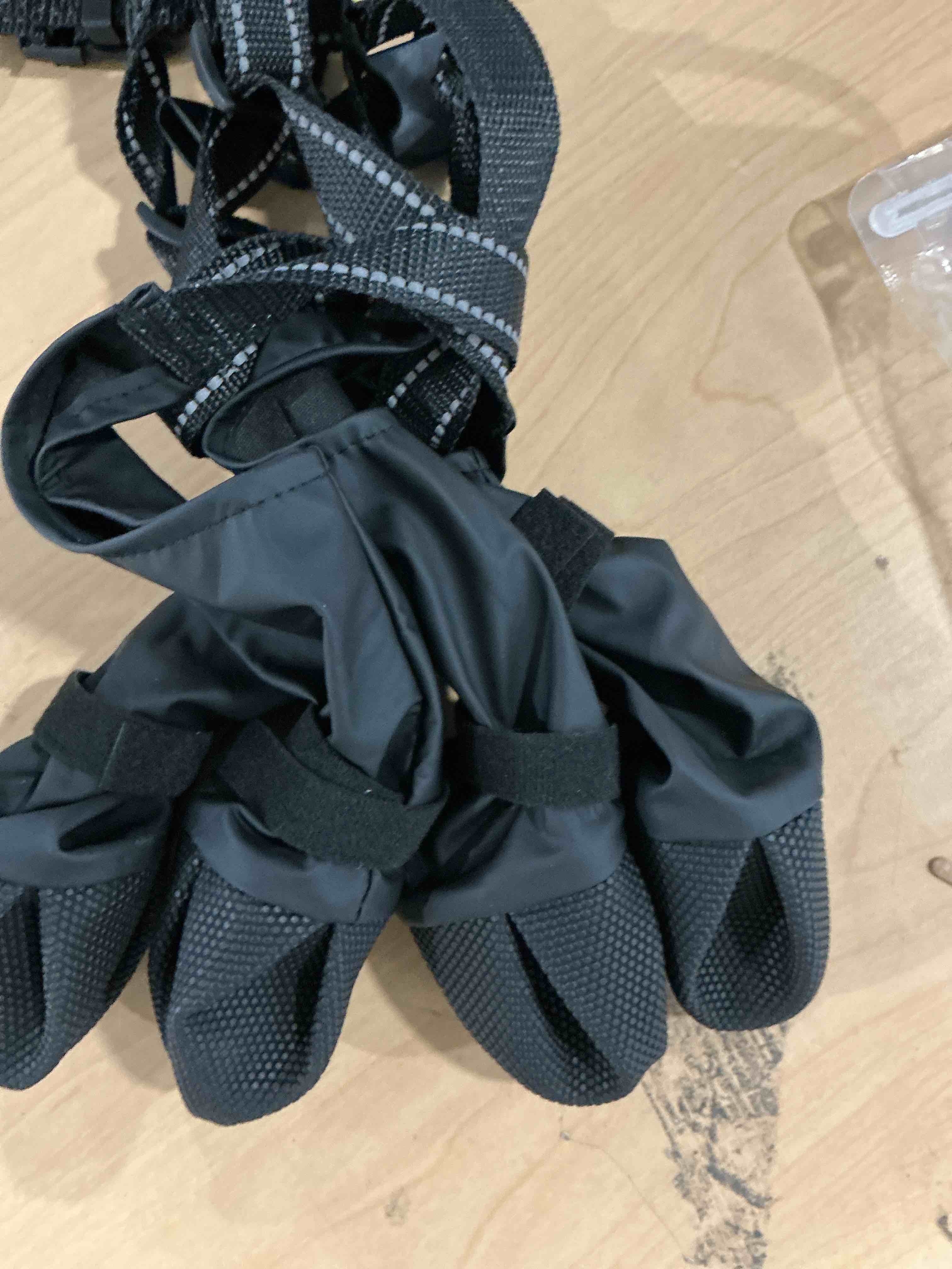 https://s3.amazonaws.com/lotting-images-prod/NonstopDeals/PNK4932343_1774644548130.jpeg