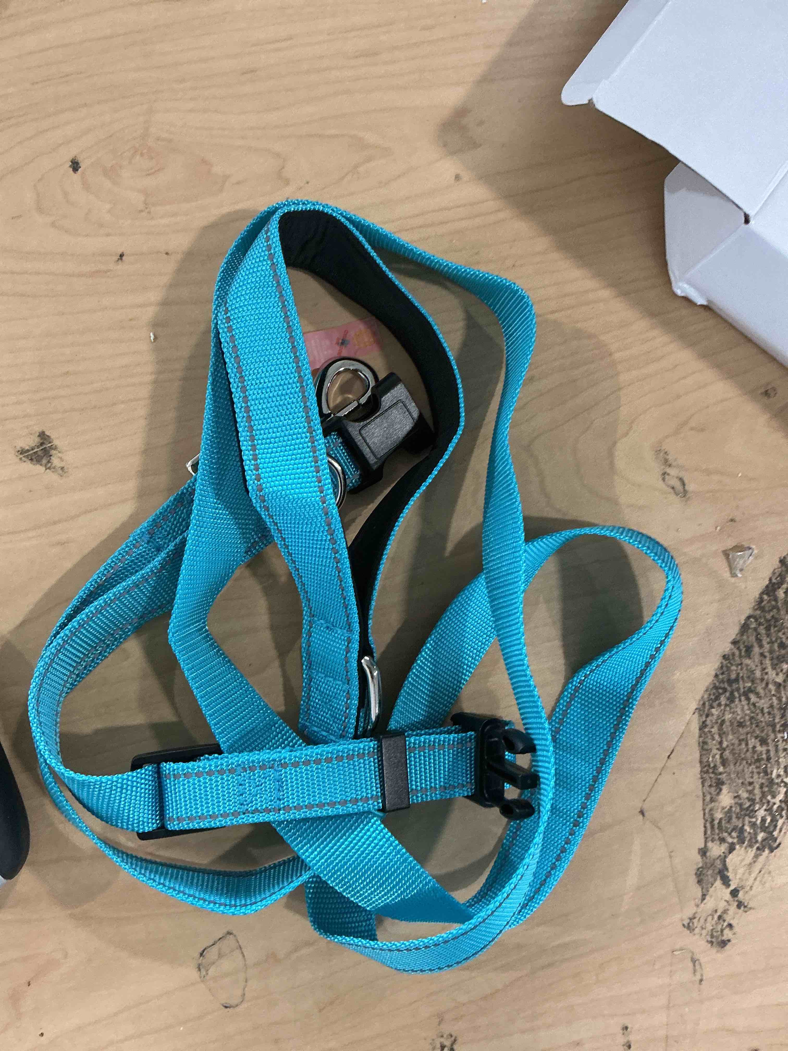 Condition photo showing Good Condition for maiiu reflective dog collar with safety locking buckle, adjustable soft breathable nylon collars for small, medium and large dogs(collar+leash s width 3/4" sky blue) small (width 3/4") sky blue