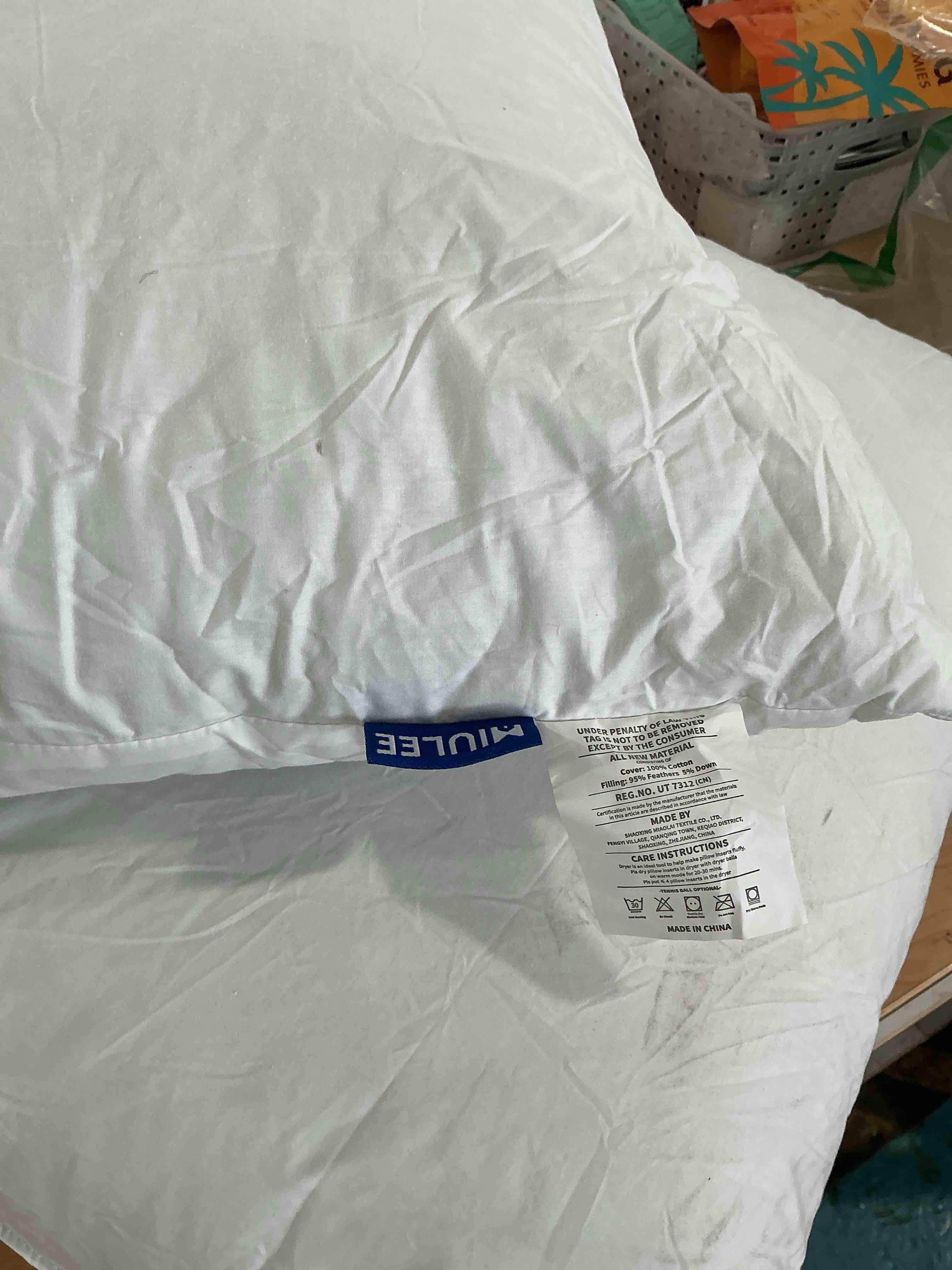 https://s3.amazonaws.com/lotting-images-prod/NonstopDeals/PNK4933546_1777651683213.jpeg