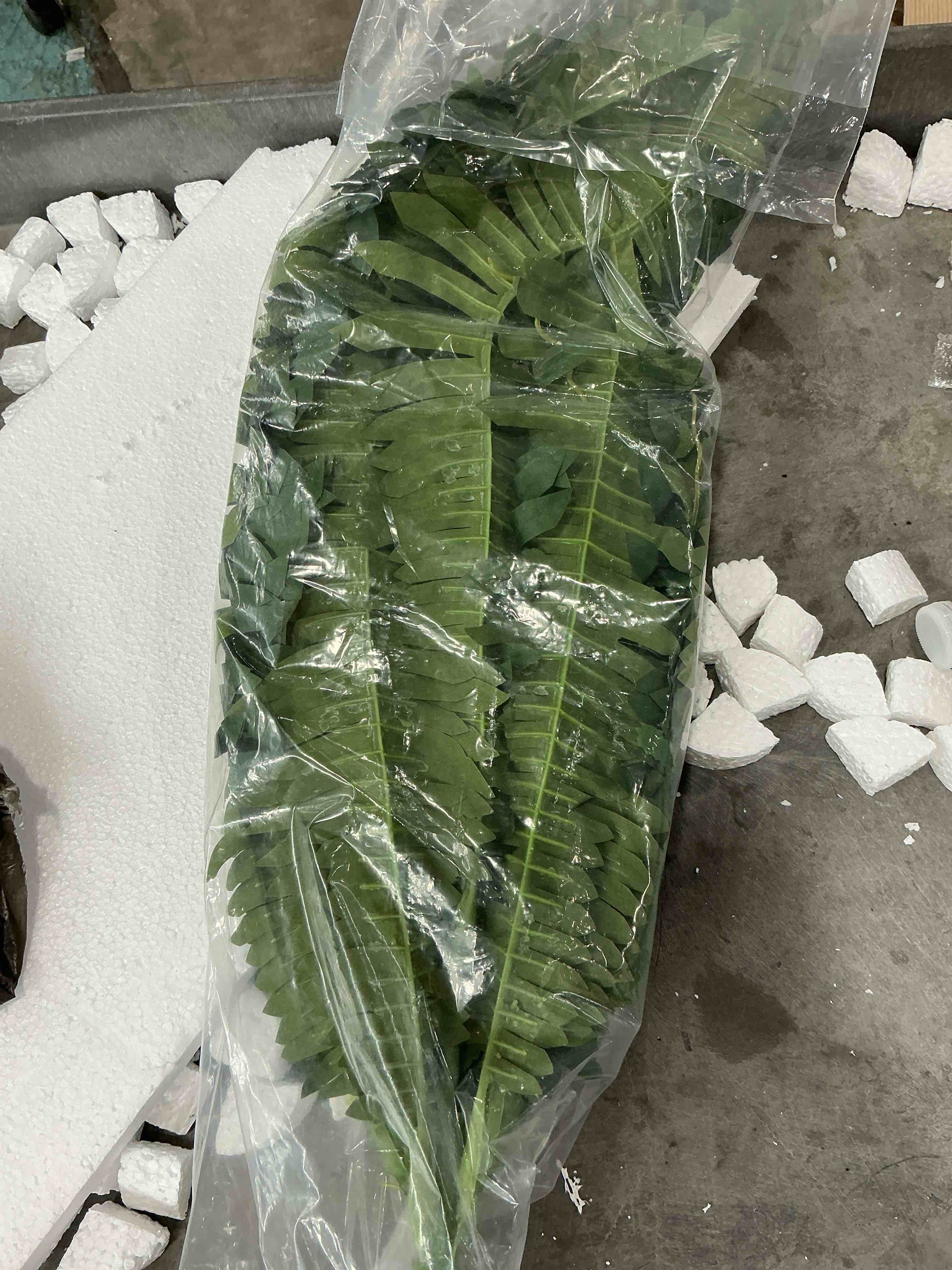 https://s3.amazonaws.com/lotting-images-prod/NonstopDeals/PNK4935487_1779224308219.jpeg