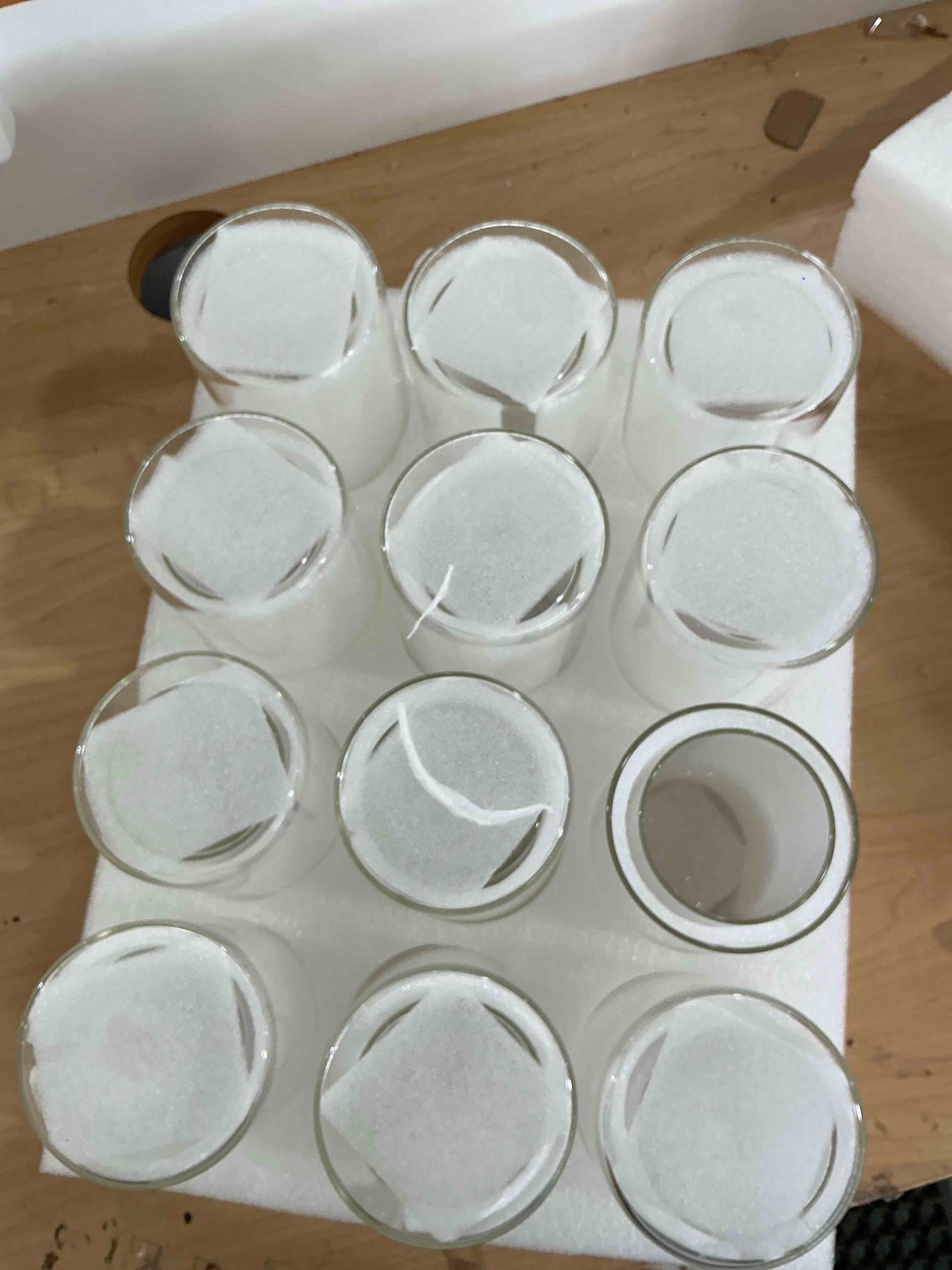 Condition photo showing New/Like New for 12 pcs glass cylinder vases for centerpiece, 6 inch clear cylinder vase bulk small glass candle holder vases for flowers wedding home party (12)