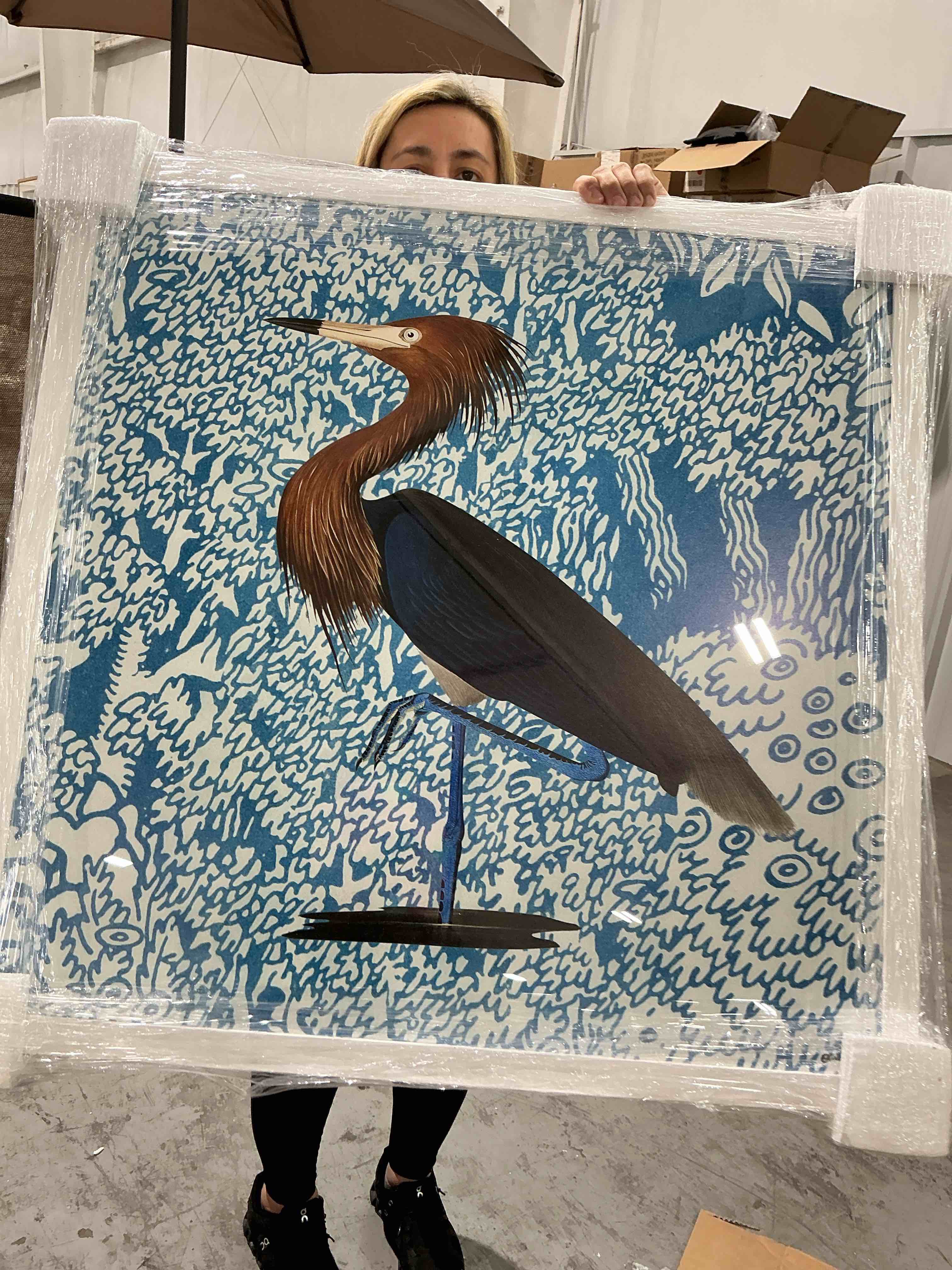 Condition photo showing Brand New for bird pose by oliver gal painting framed