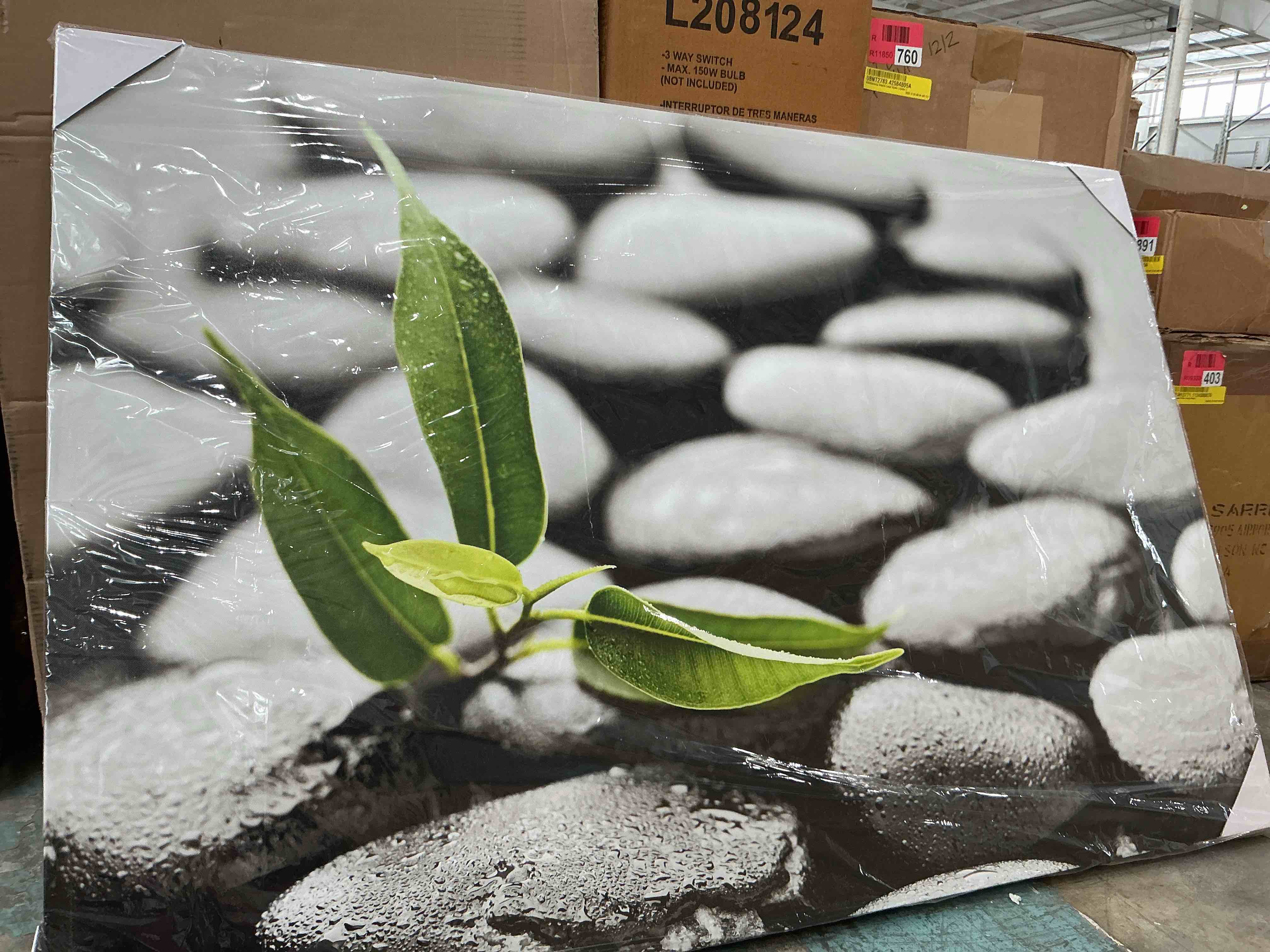Condition photo showing Brand New for wall26 canvas print wall art zen meditation black beach pebble green forest plant nature wilderness photography realism rustic landscape colorful multicolor for living room, bedroom, office - 32"x48"