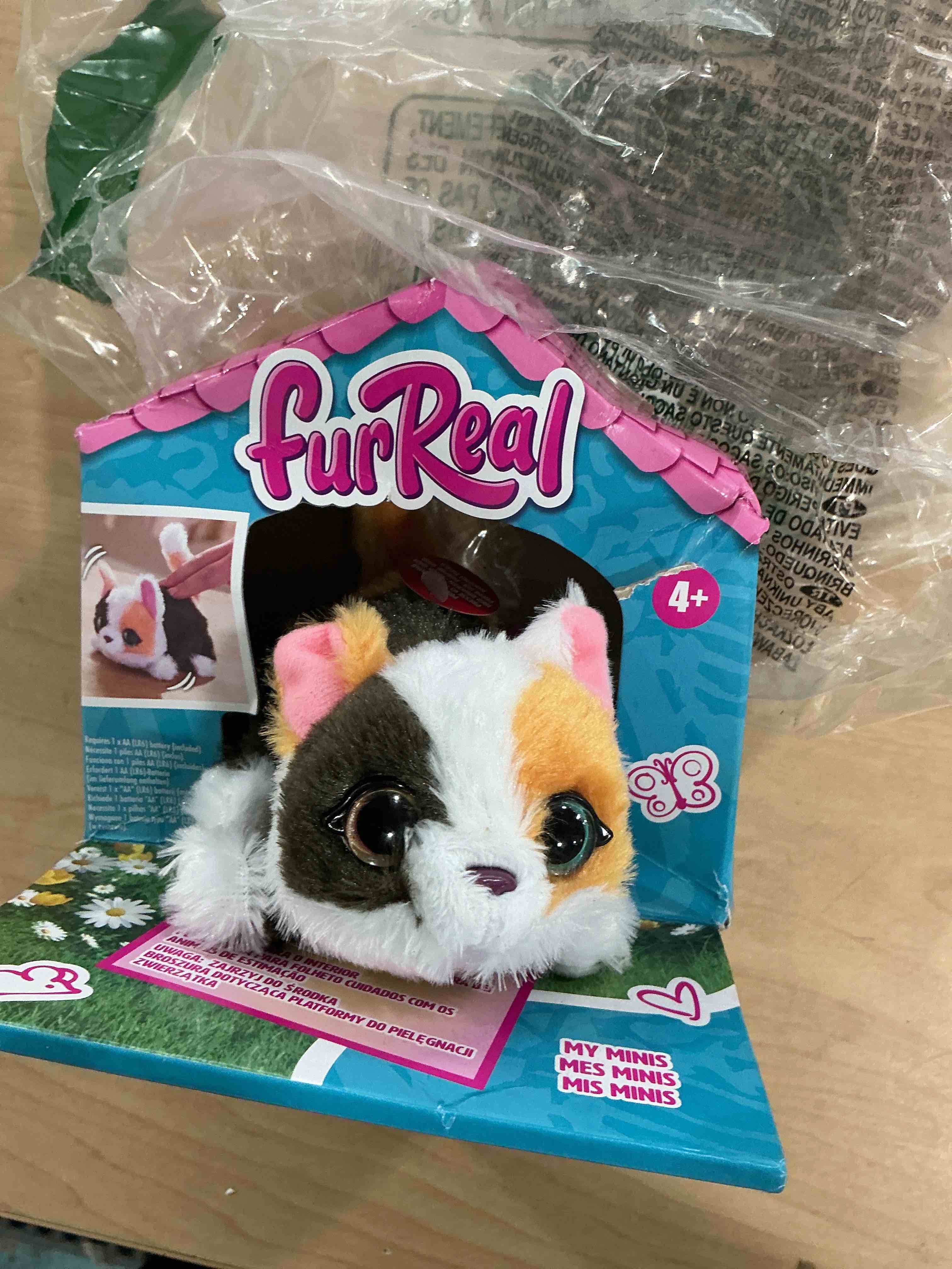 Condition photo showing New/Like New for furreal my minis kitty interactive toy, small plush kitty with motion, stuffed animals, kids toys for ages 4 up by just play
