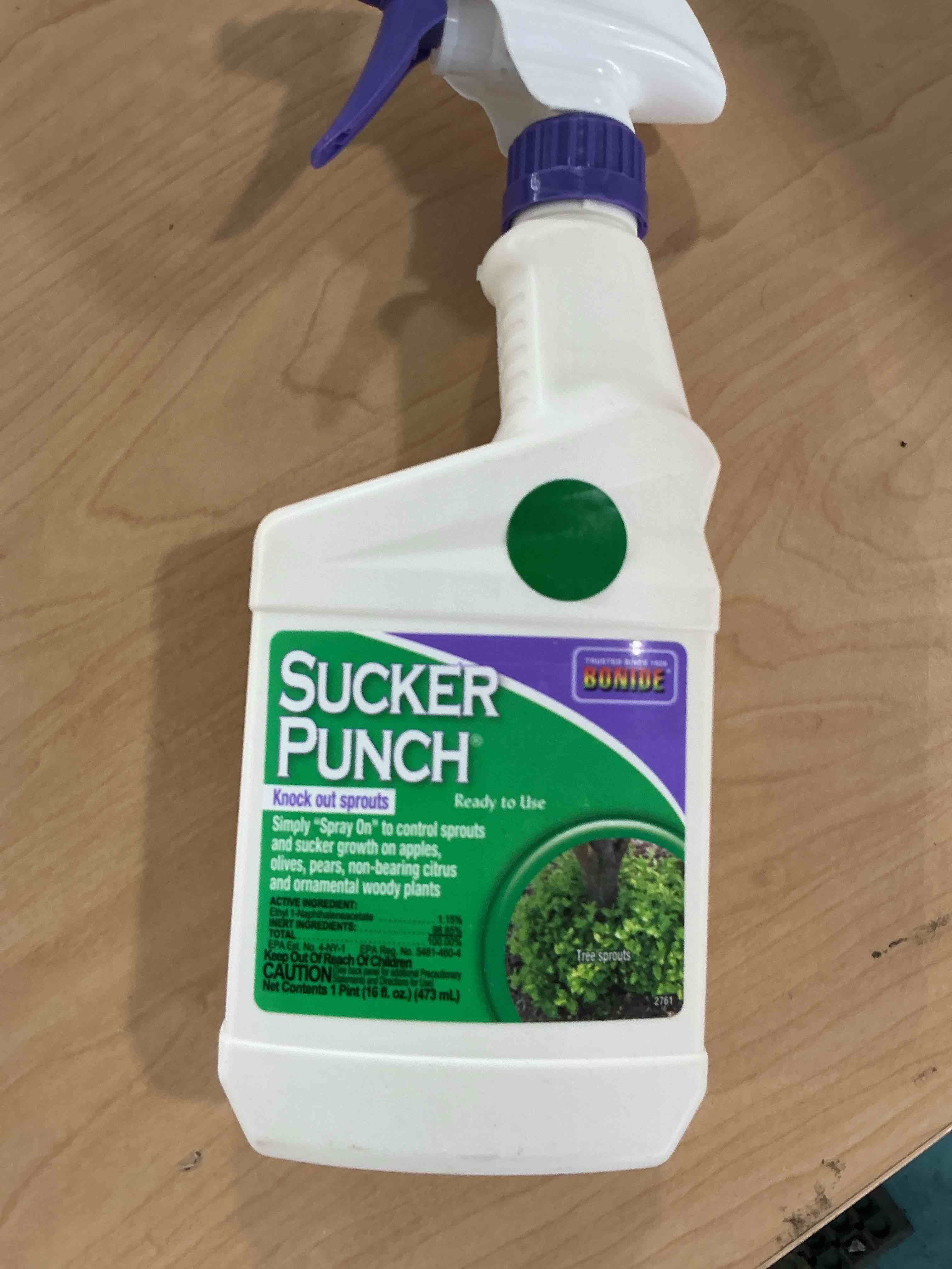 Condition photo showing New/Like New for bonide sucker punch, 16 oz ready-to-use spray, control unwanted plant sprouts, plant growth regulator for home garden
