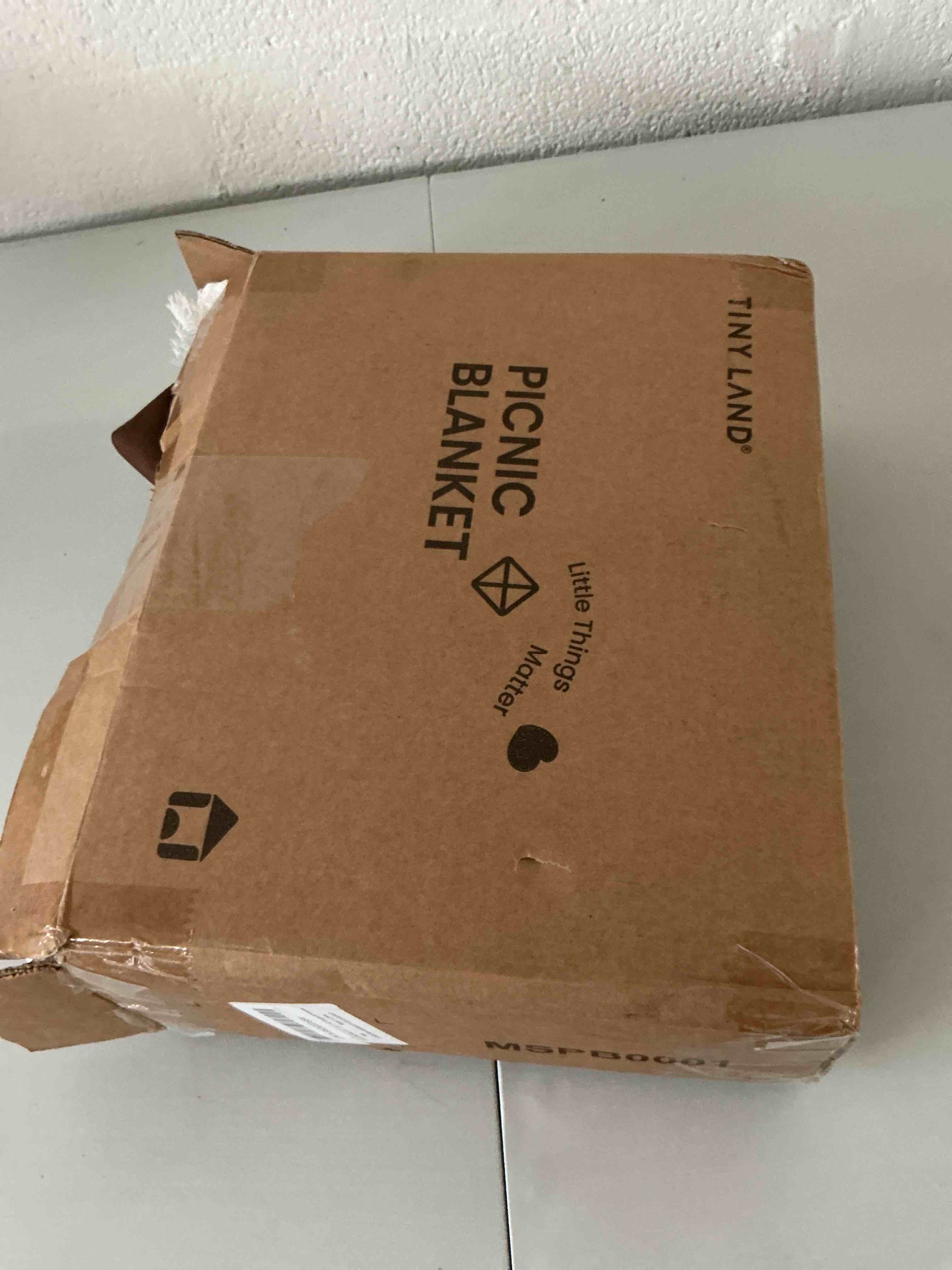 https://s3.amazonaws.com/lotting-images-prod/NonstopDeals/TEA2146340_1751412553069.jpeg
