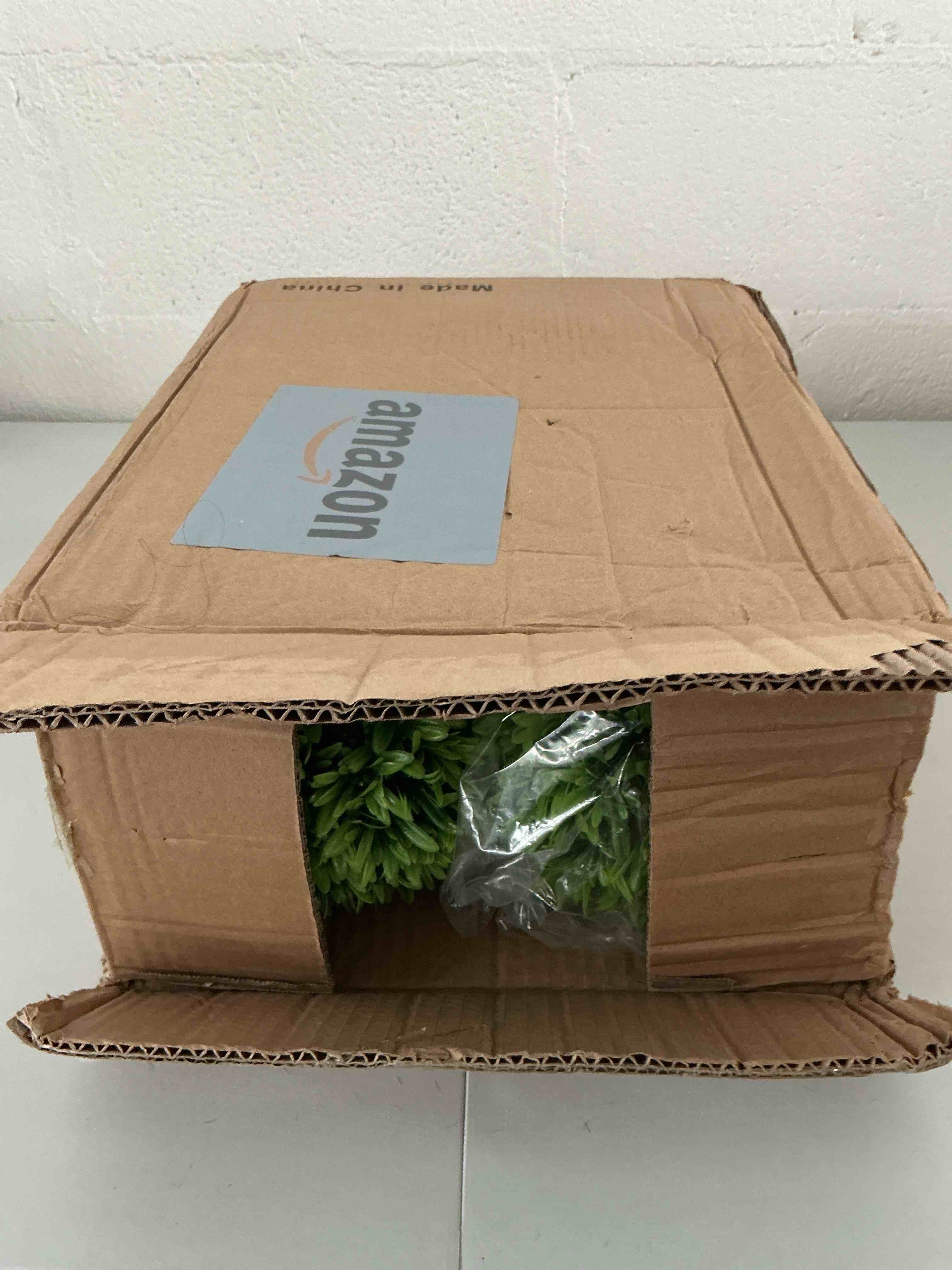 https://s3.amazonaws.com/lotting-images-prod/NonstopDeals/TEA2146470_1751570317289.jpeg