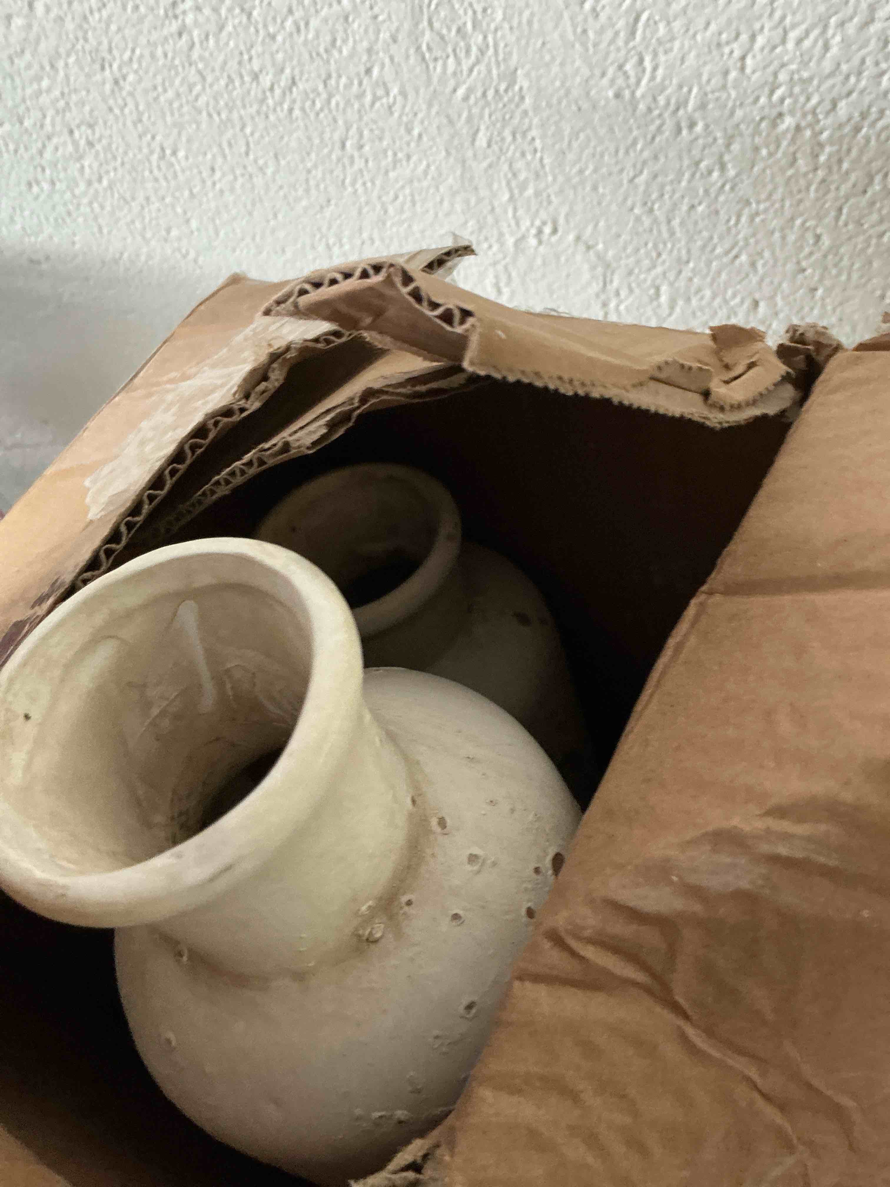 https://s3.amazonaws.com/lotting-images-prod/NonstopDeals/TEA2147003_1752252303377.jpeg