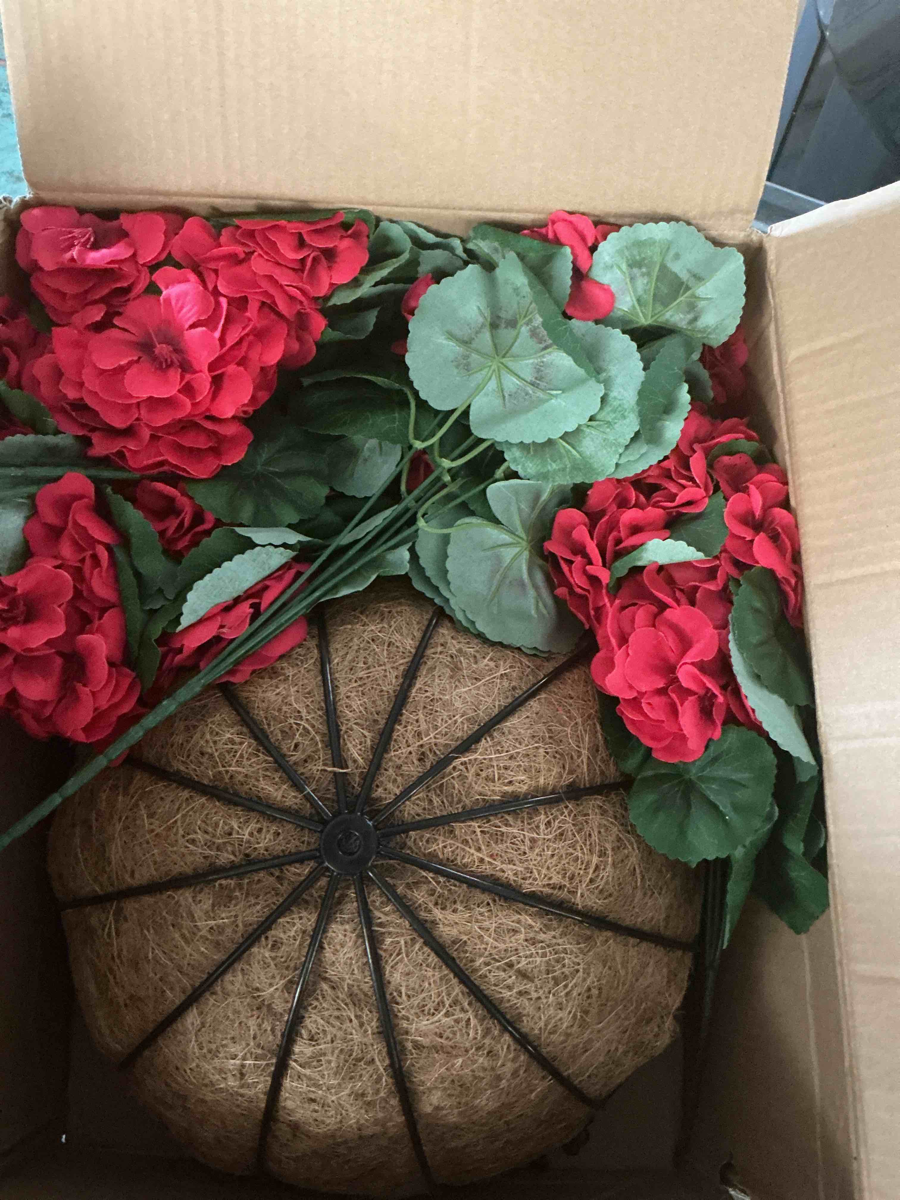 https://s3.amazonaws.com/lotting-images-prod/NonstopDeals/TEA2148831_1755987866657.jpeg