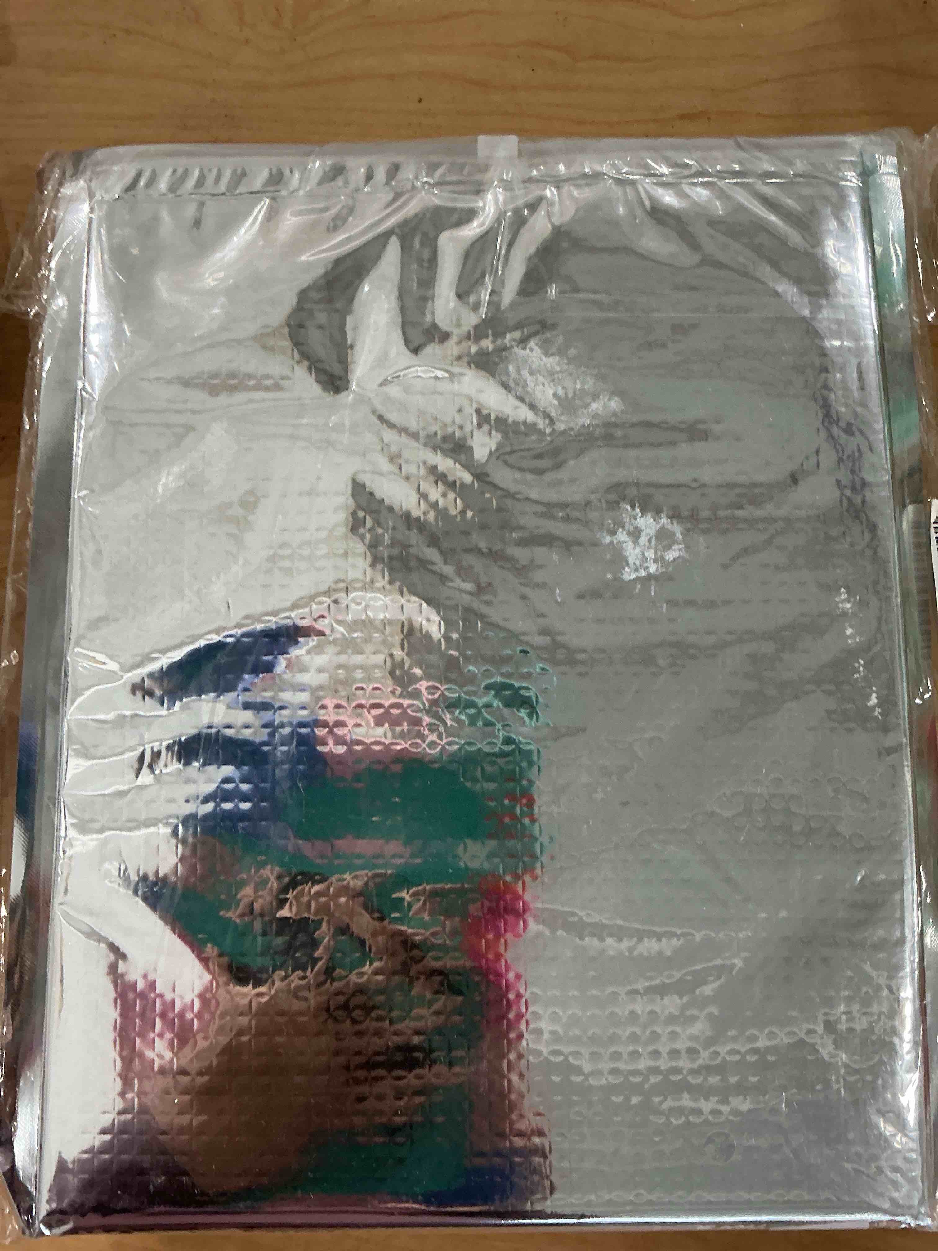 Condition photo showing New/Like New for Insulated Food Storage Bag with Zipper Design, Hot Cold Cool Storage Bags for Food, Reusable Thermal Lunch Household Food Pouches Organizer Hot Sandwich Bags, 5PCS