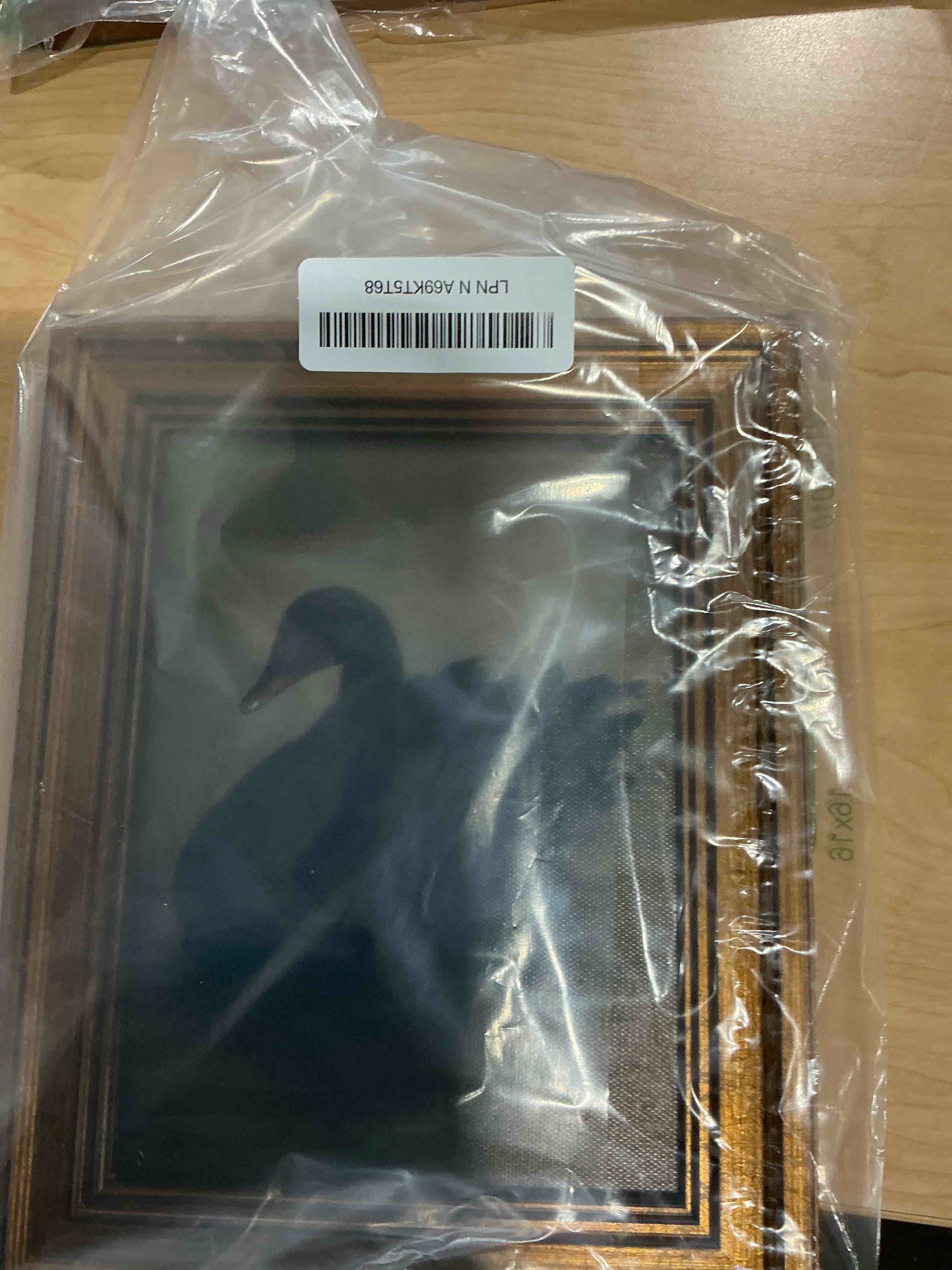 Condition photo showing Good Condition for Aroutde Framed Black Swan Canvas Wall Art, Vintage Gold Frame Swan Printing, Rustic Farmhouse Animal Picture for Living Room Bedroom Bathroom Decor (10L x 8W, Framed) 10L''x8W'' Black Swan
