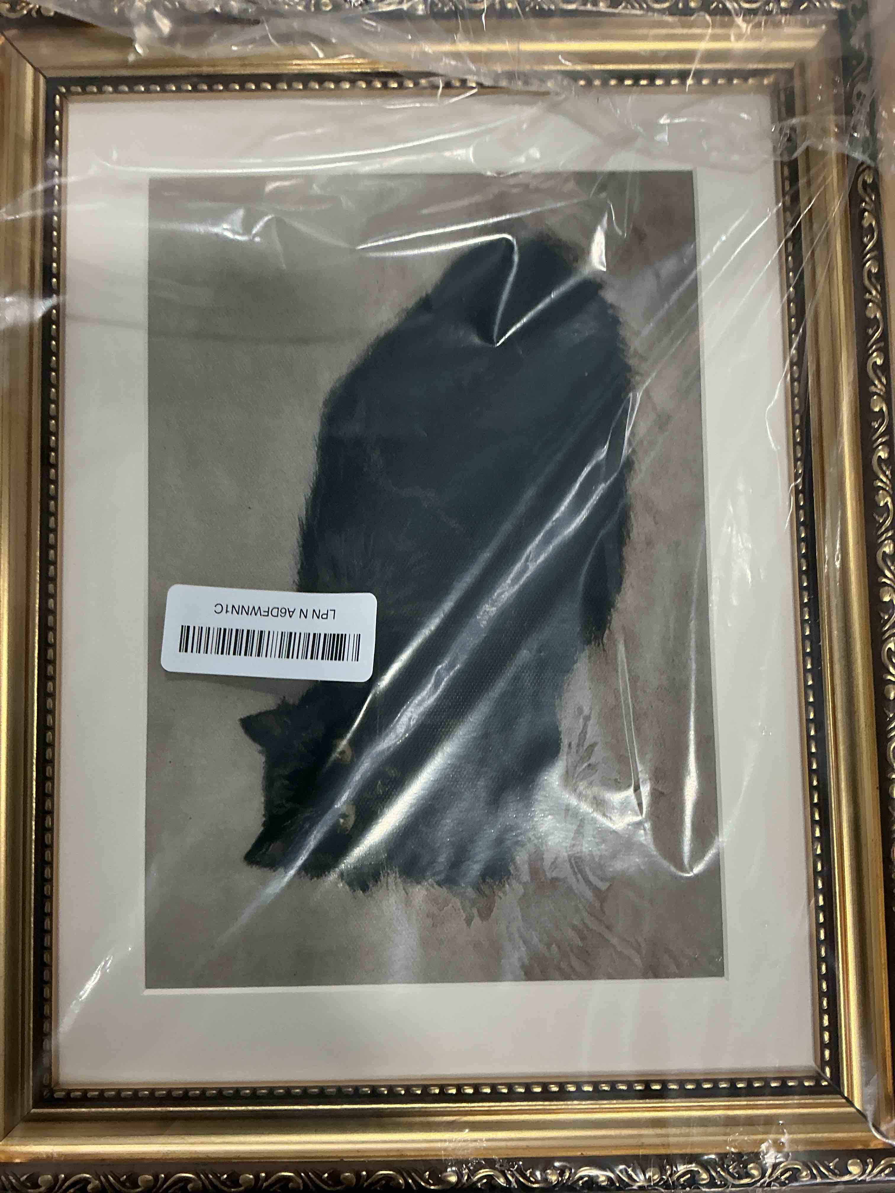 Condition photo showing New/Like New for InSimSea Retro Gold Framed Wall Art, Vintage Black Cat Home Bathroom Wall Decor, Animal Canvas Print Artwork, Farmhouse Country Decor, Antique Picture Frame Retro Classical Paintings, 11x14 Inch The Cat 14"L x 11"W