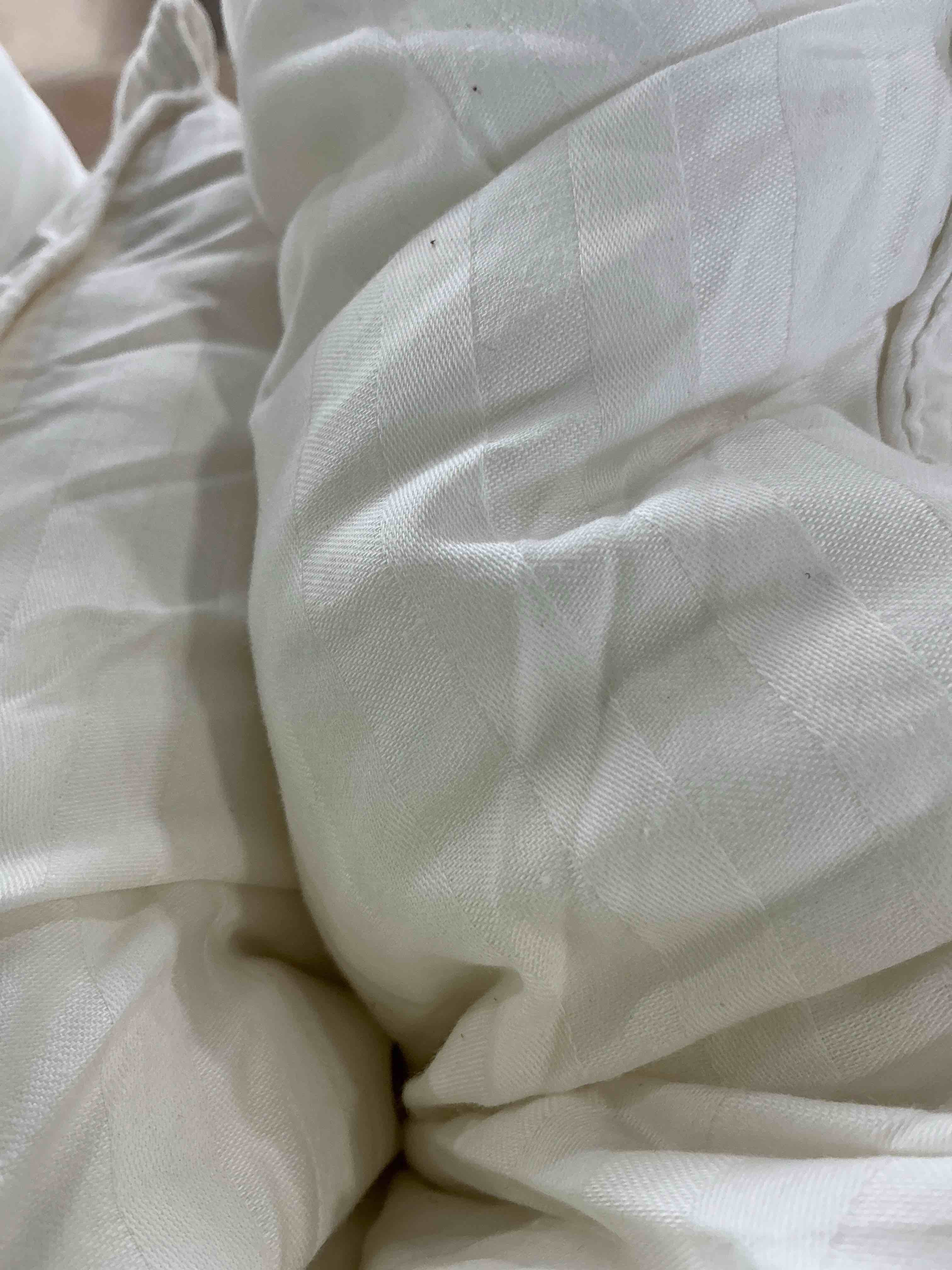 Condition photo showing New/Like New for King Size Pillows Set of 2 Down Alternative – Soft & Fluffy King Pillow with Cotton Cover, Hotel Quality Pillows for Bed, Perfect Bed Pillows for Side and Back Sleepers, Size 20"x36" King Cotton Cover