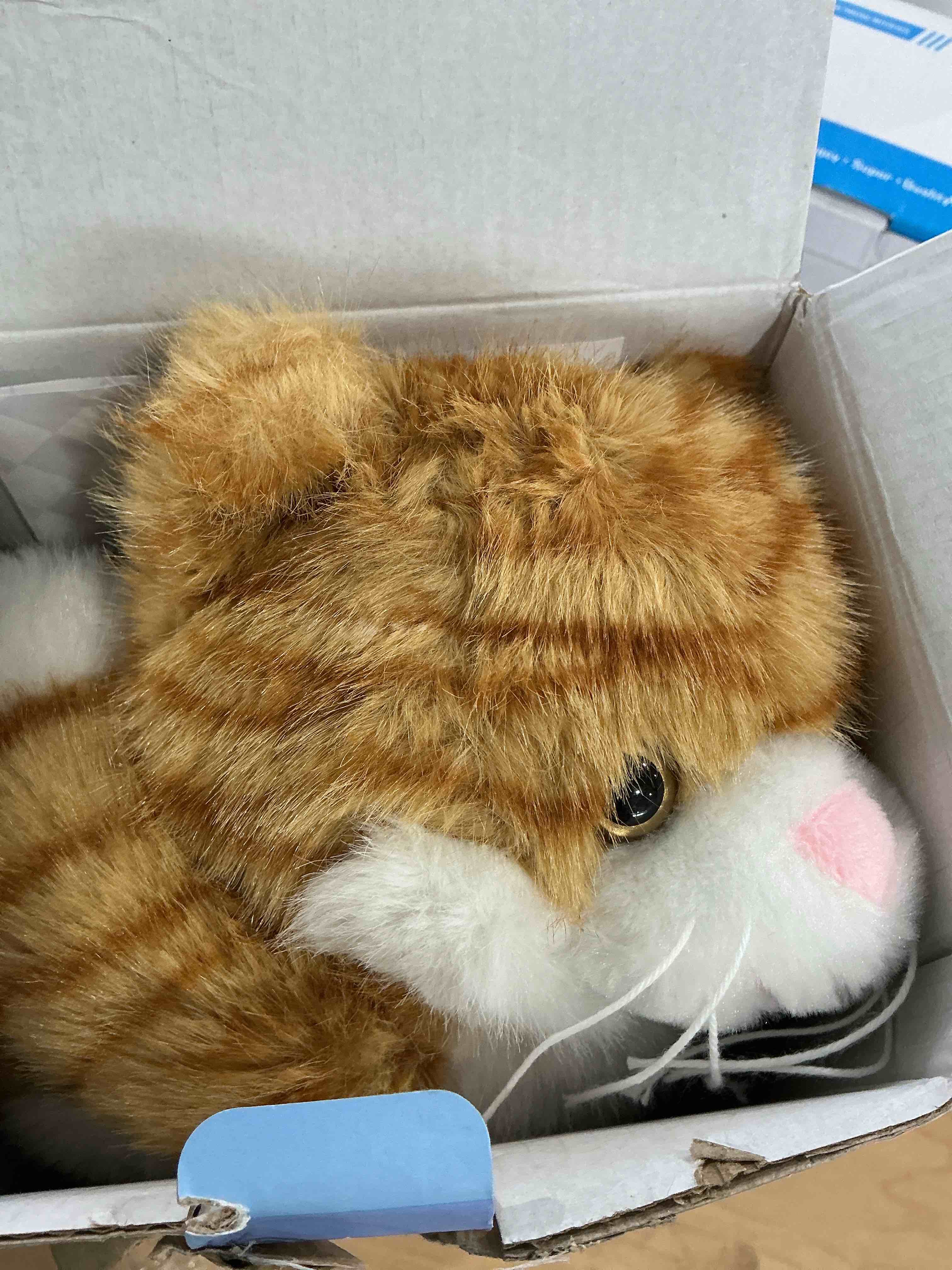Condition photo showing Good Condition for Heatable & Coolable Orange Cats Stuffed Animals, Microwave Heating Pad Animals for Discomfort, Orange Cats Cute Stuff for Companion, Lavender Stuffed Animals, Plush Toys Gifts
