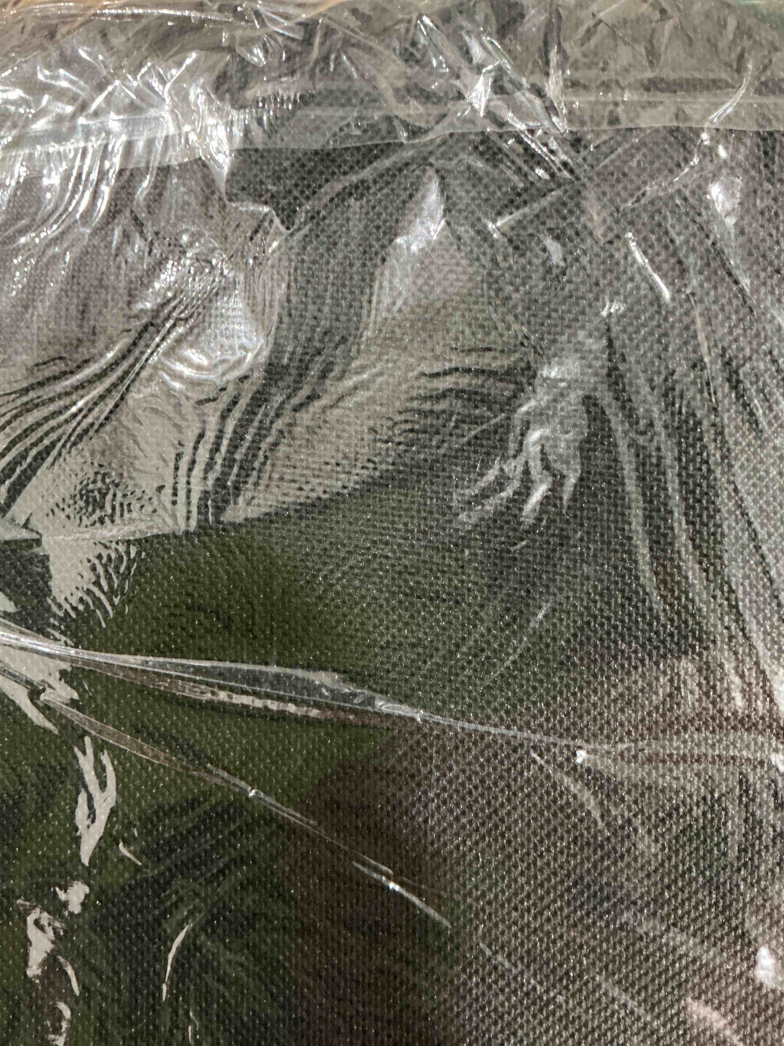 Condition photo showing New/Like New for EcoNour Windshield Cover for Ice and Snow - Universal Fit for Car, SUV, Truck, Heavy Duty 600D Oxford Fabric Frost Protector for Ice & Sleet, Includes Anti-Theft Straps, Medium (69"x42")