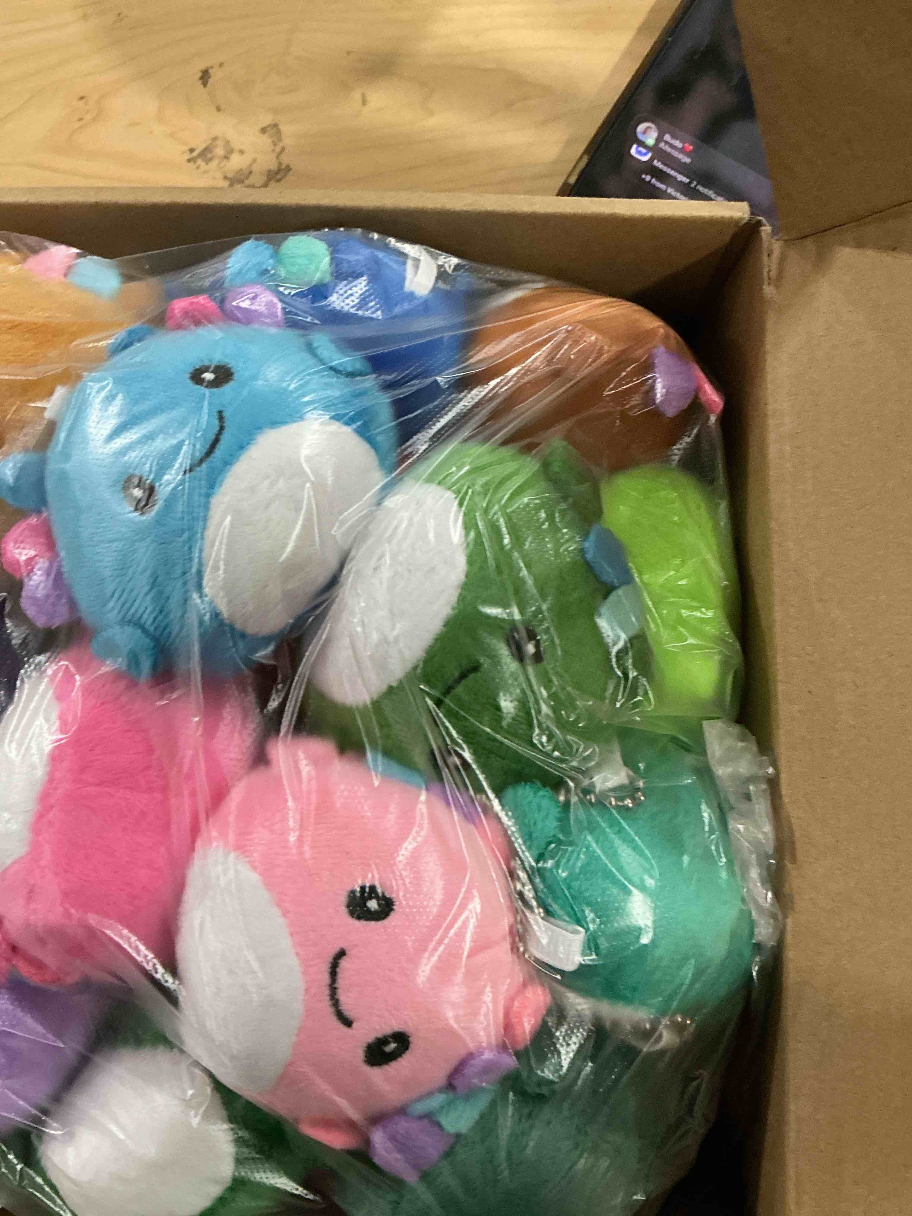 Condition photo showing New/Like New for Valentines Day Gifts for Kids - 24 Pack Axolotl Plush Toys Keychains with Valentine's Cards - Mini Stuffed Animals Set for Boys Girls Toddler Classroom Exchange School Activities Party Favors