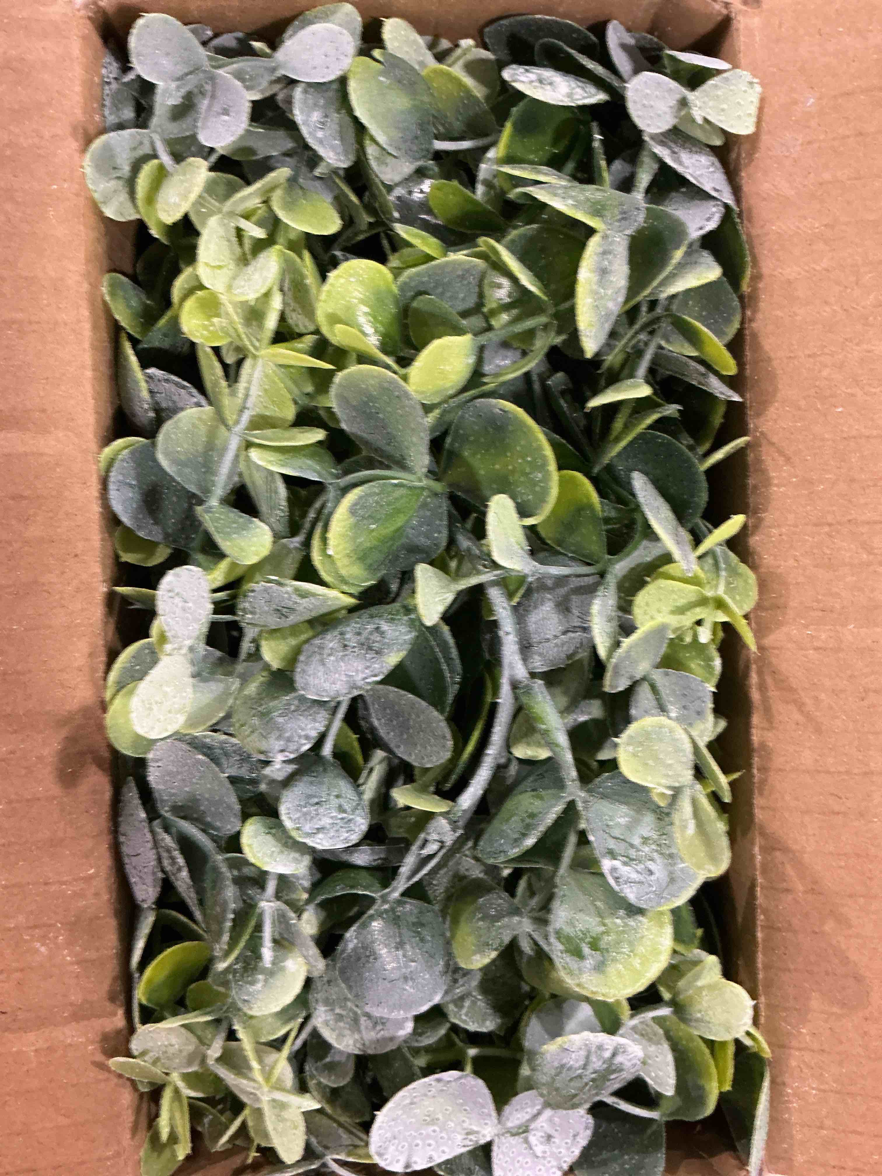 Condition photo showing New/Like New for DearHouse Faux Eucalyptus Garland Plant, 2 Pack Artificial Vines Hanging Eucalyptus Leaves Greenery Garland for Wedding Backdrop Arch Wall Decor, 6 Feet/pcs UV Protected Indoor Outdoor