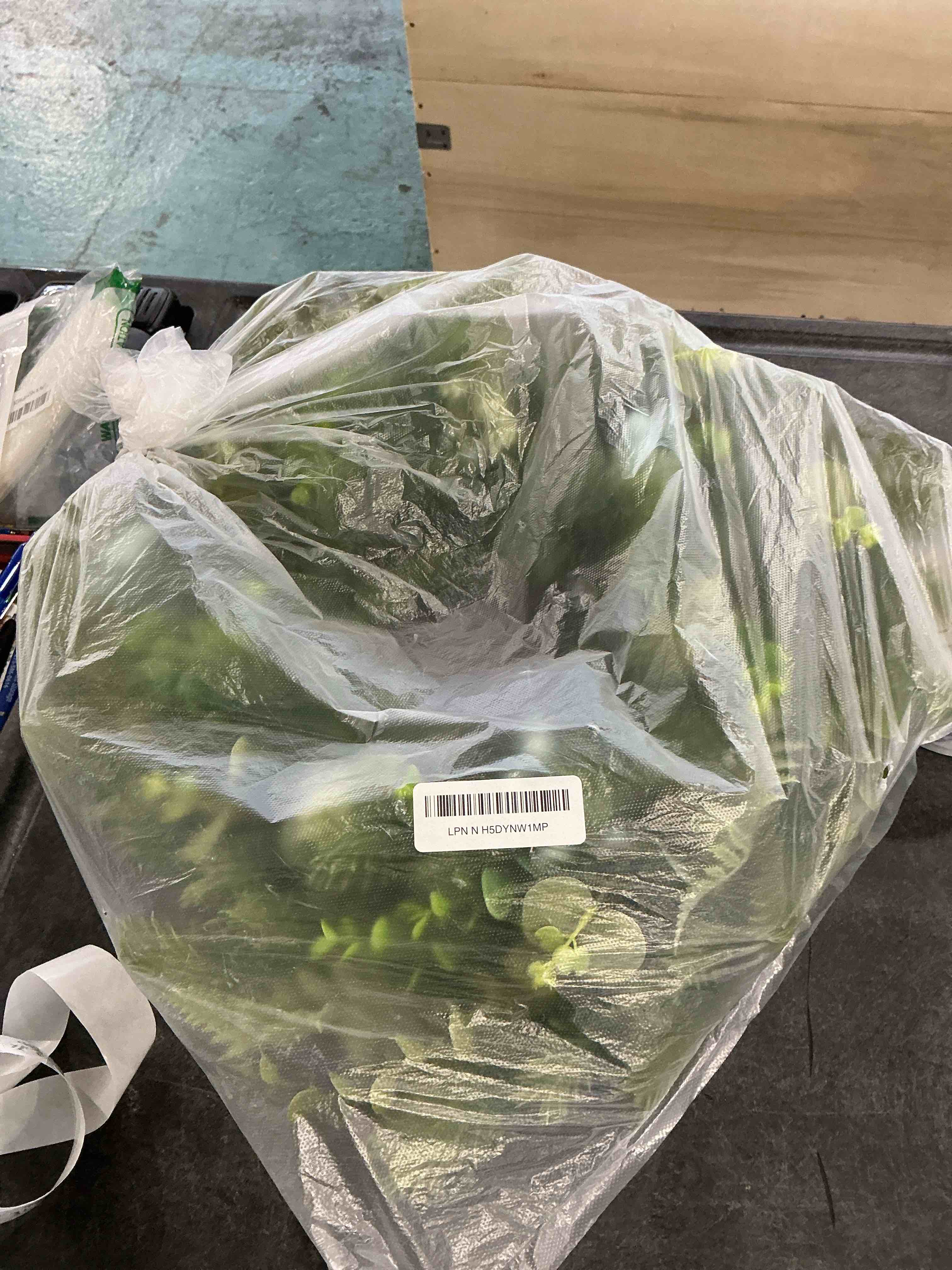 JINGHONG Artificial Spring Wreath 20 Inch Summer Wreaths for Front Door Green Eucalyptus Wreath with Big Berries for Outside All Seasons Indoor Outdoor Decor