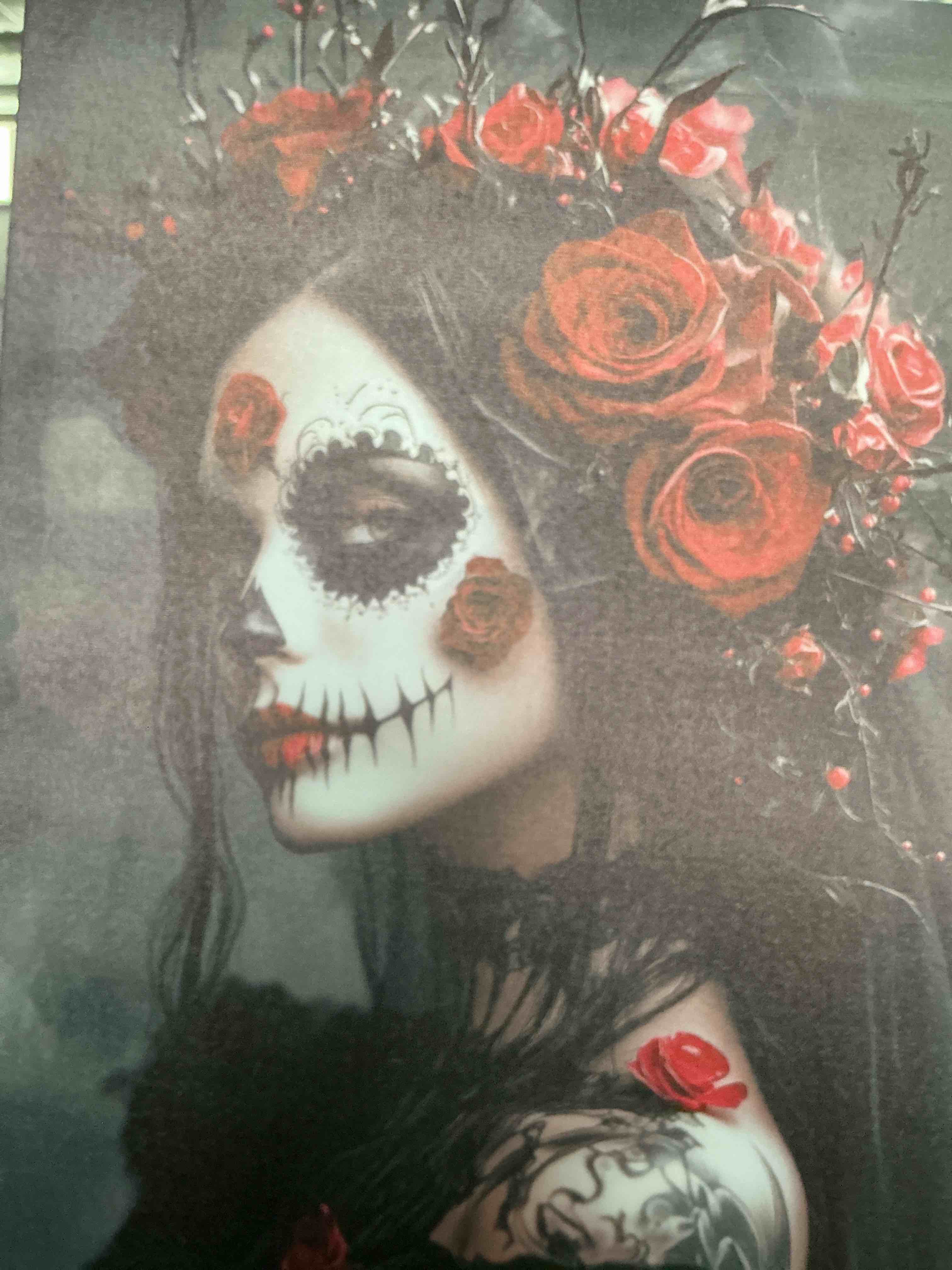 Condition photo showing New/Like New for bright knight day of the dead skull and roses for creating a tranquil wall art or decorative element in your room decor home decor bedroom decor 08x12inch(20x30cm) unframe-style