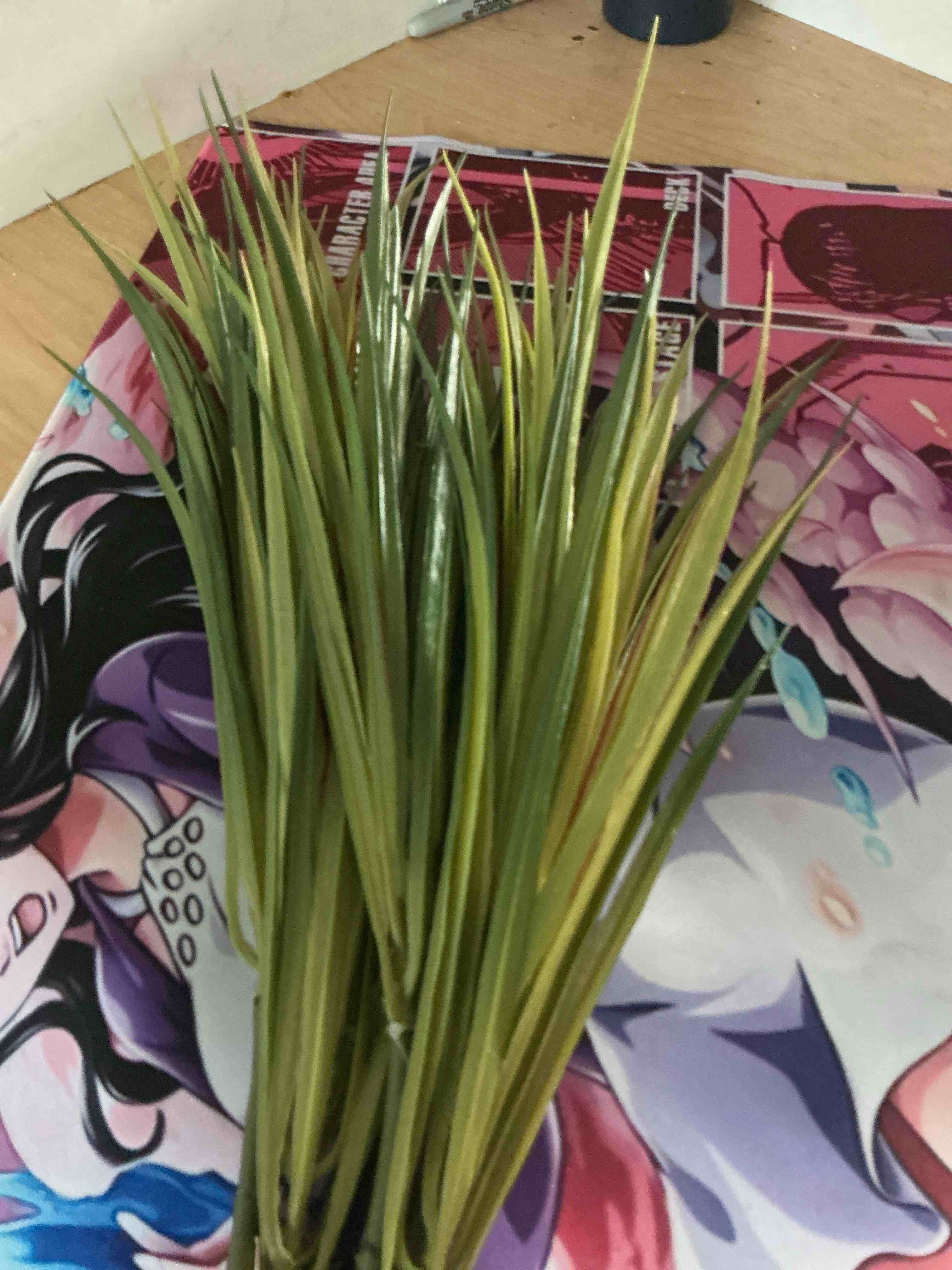 Condition photo showing New/Like New for  artificial dracaena plant,faux plants branches realistic fake green and yellow leaves,25" faux agave potted plant for office living room bedroom fake lily bamboo plants decor 