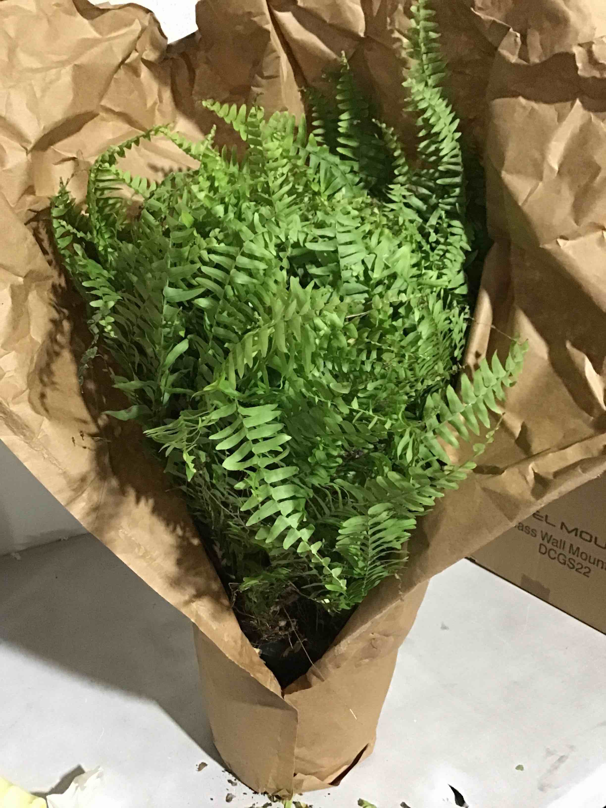 https://s3.amazonaws.com/lotting-images-prod/ORG5214623_1693424378801.jpeg