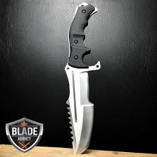 https://s3.amazonaws.com/lotting-images-prod/RhinoBigStone_1751646119513.jpeg