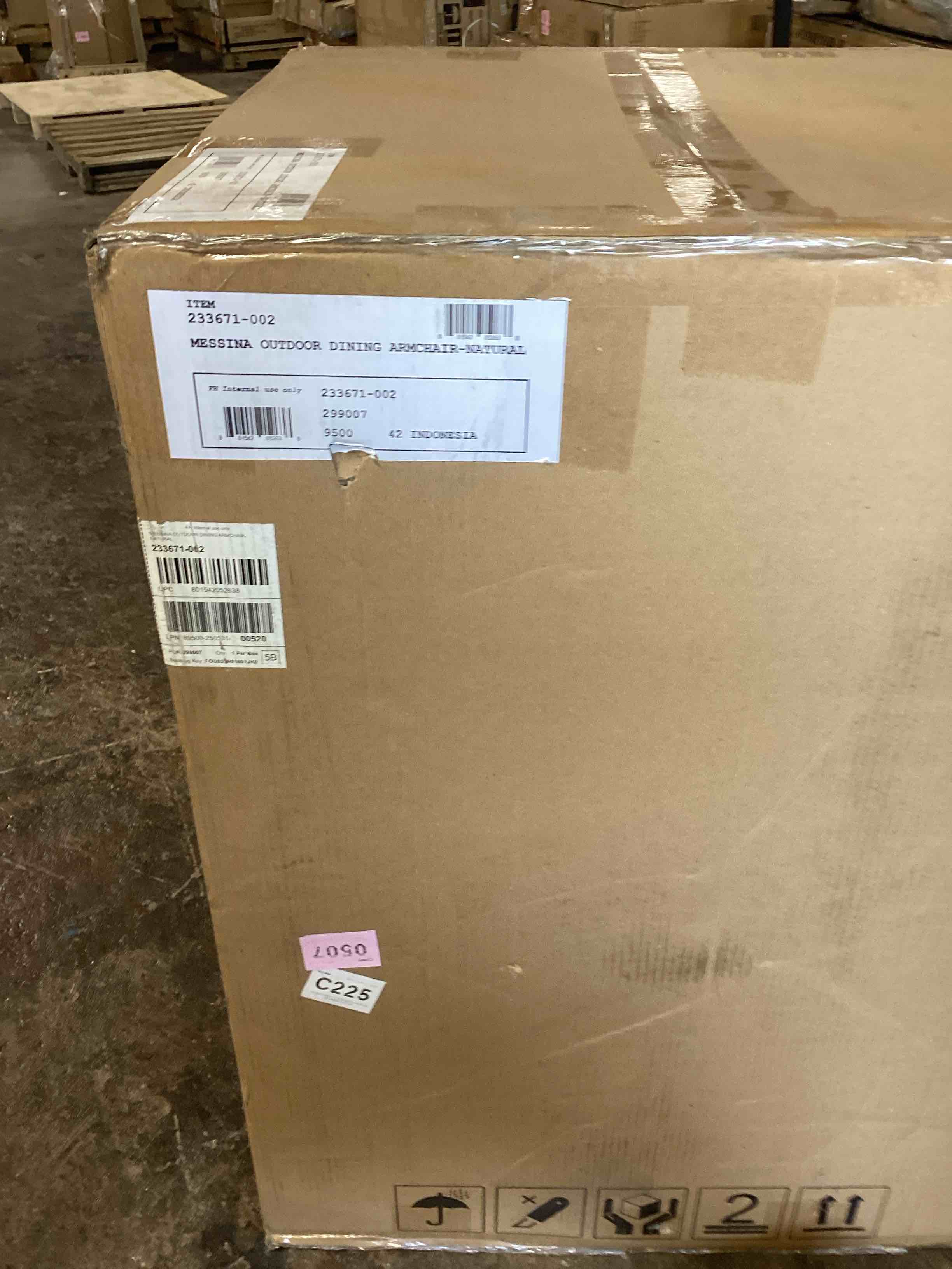 Danae Patio Dining Armchair with Cushion