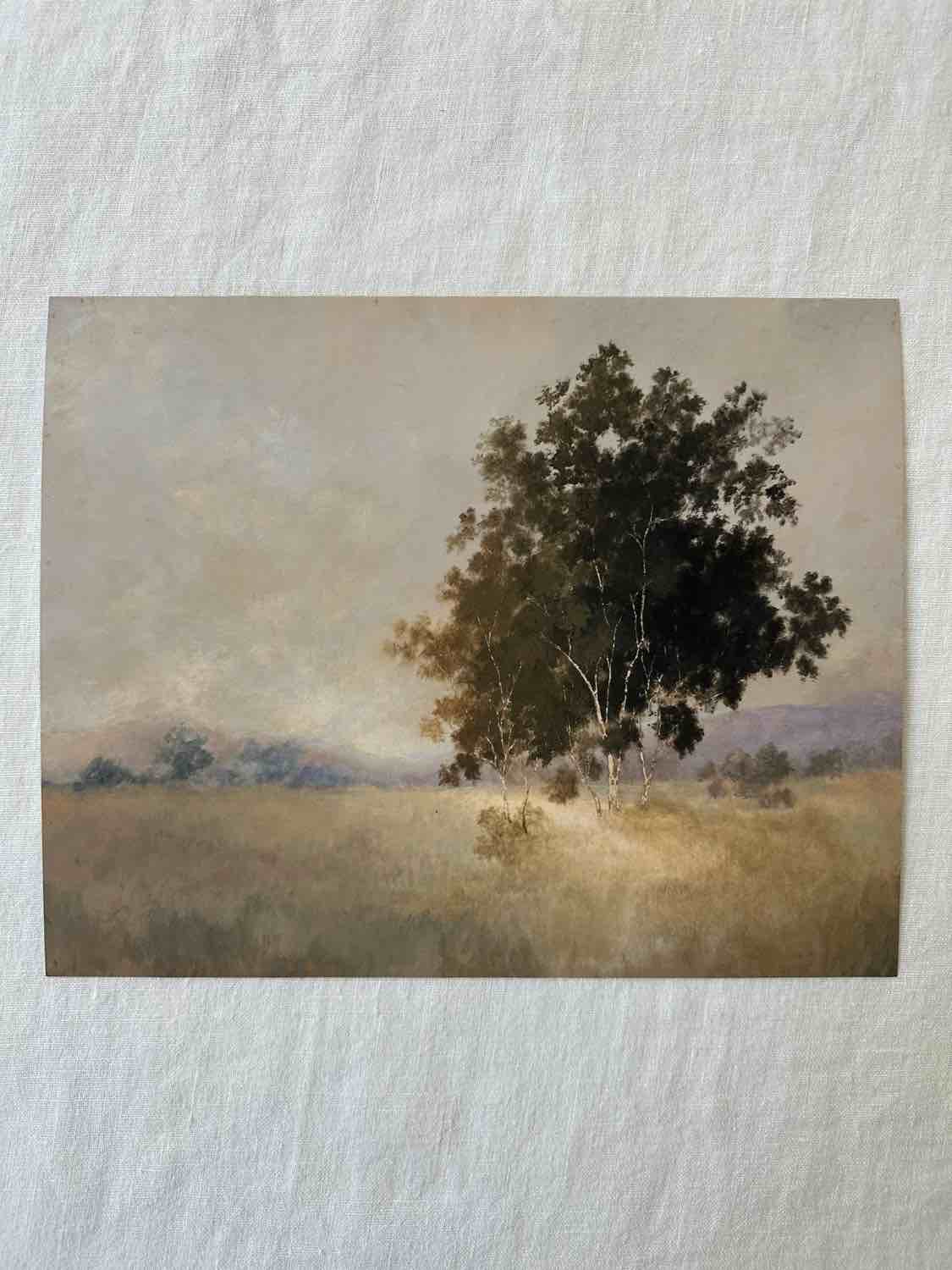 We Woke to a Dream by Aileen Fitzgerald - Single Picture Frame Painting