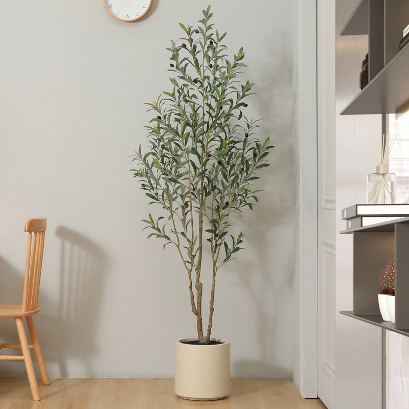 adcock faux olive tree in white planter, lifelike fake olive plant for indoor and outdoor decor