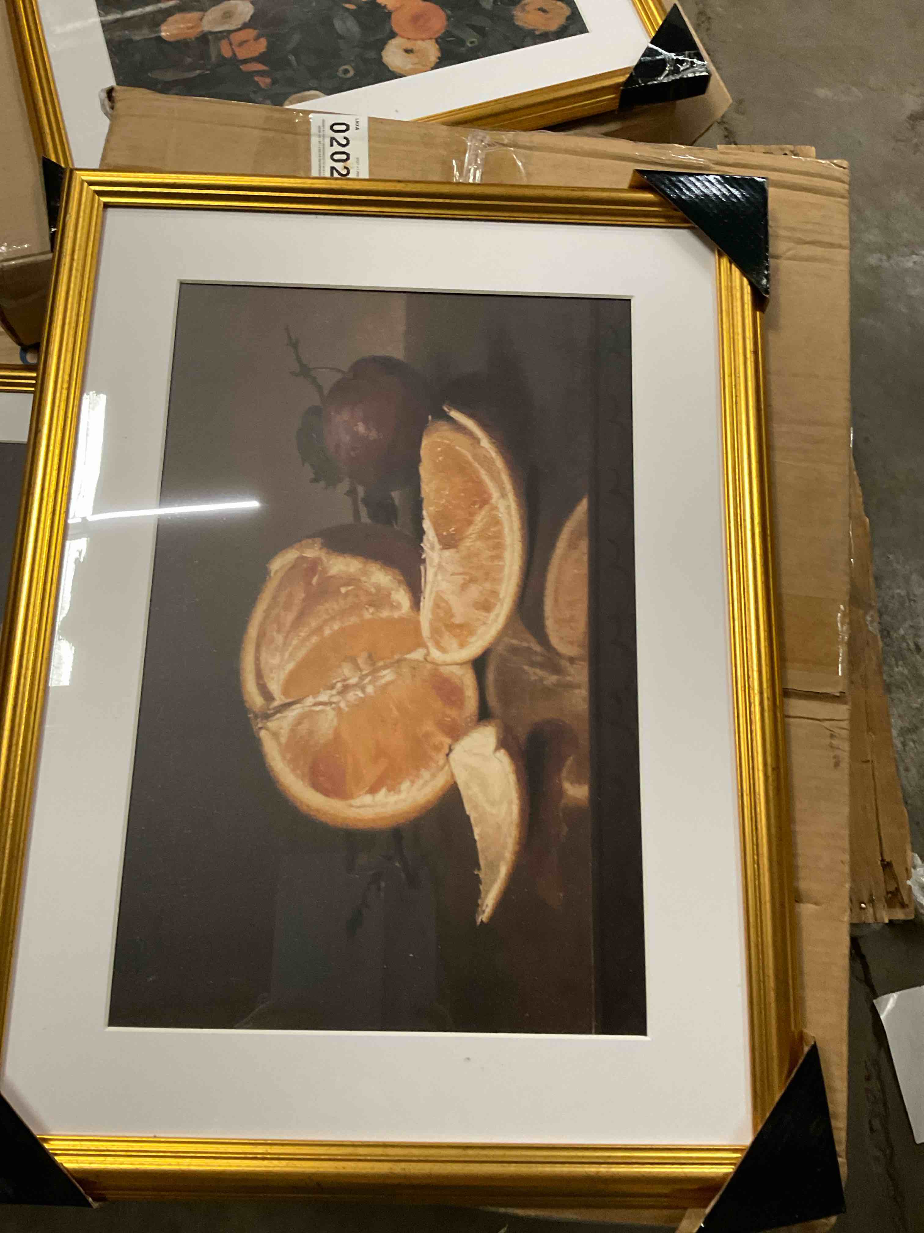 https://s3.amazonaws.com/lotting-images-prod/RustDustWanderlust/BRN2074181_1758814485976.jpeg