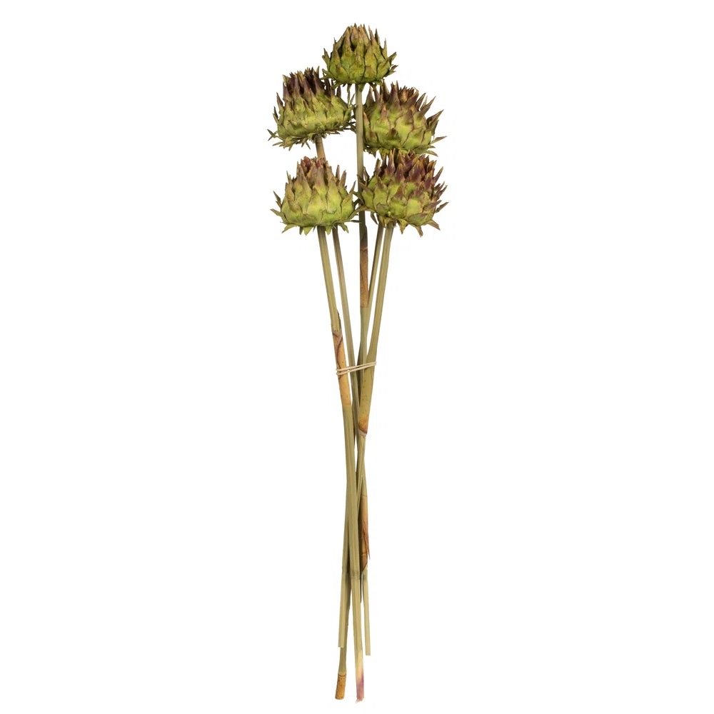 vickerman 15" artichoke head with reed stem, dried artichoke arrangement