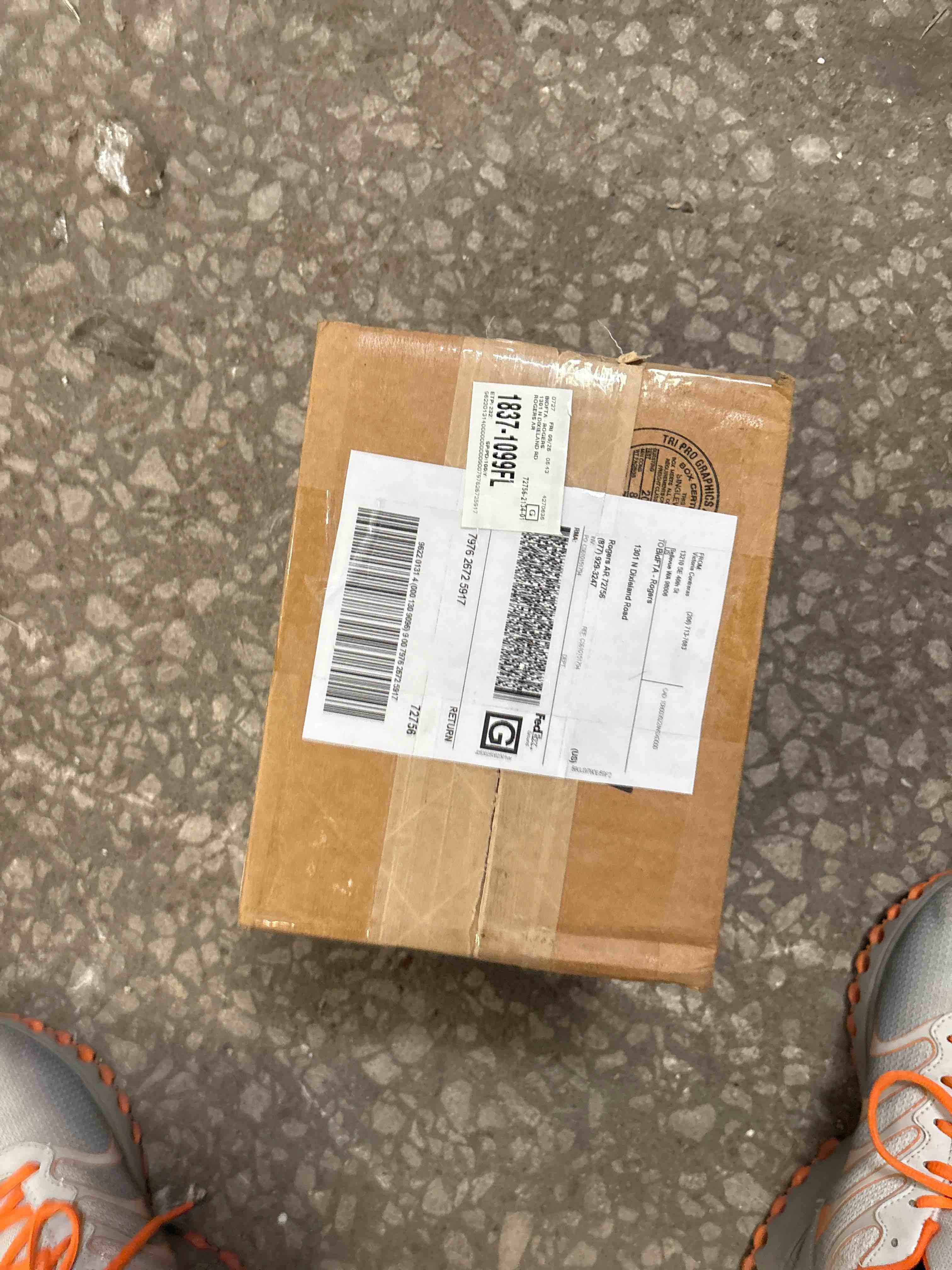 Condition photo showing Good Condition for Pismo Single Dummy Circle Knob