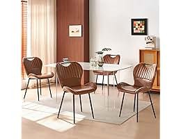 Modern Dining Chairs