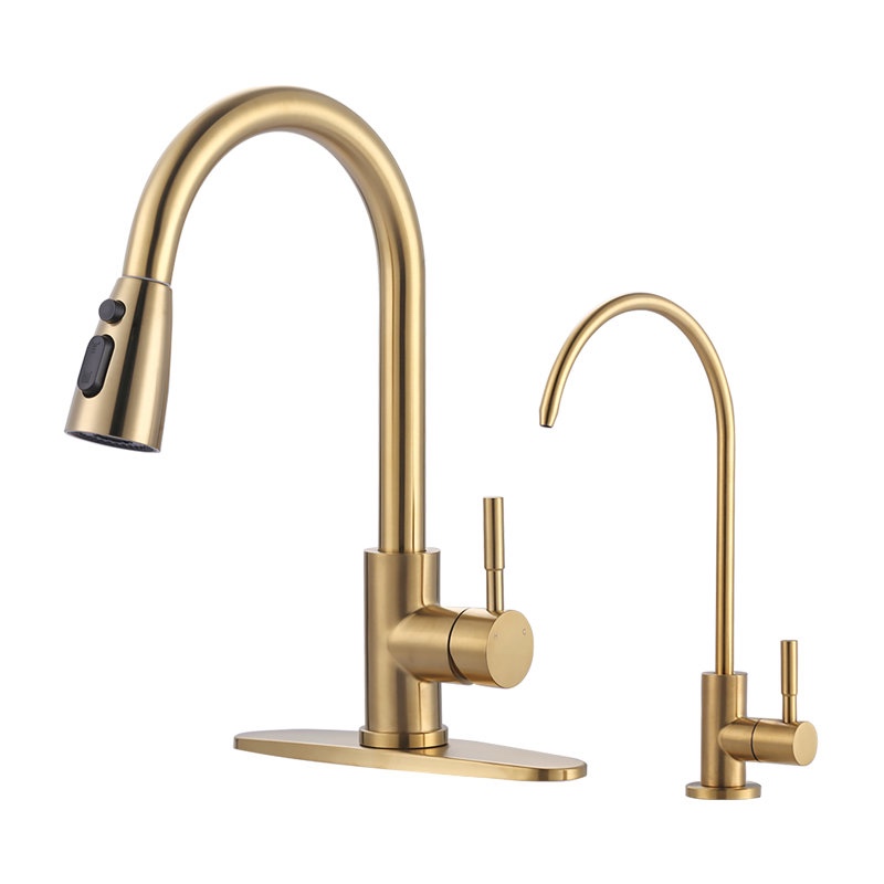 ARCORA Stainless Steel Pull-Down Kitchen Faucet and Water Filter Faucet Combo