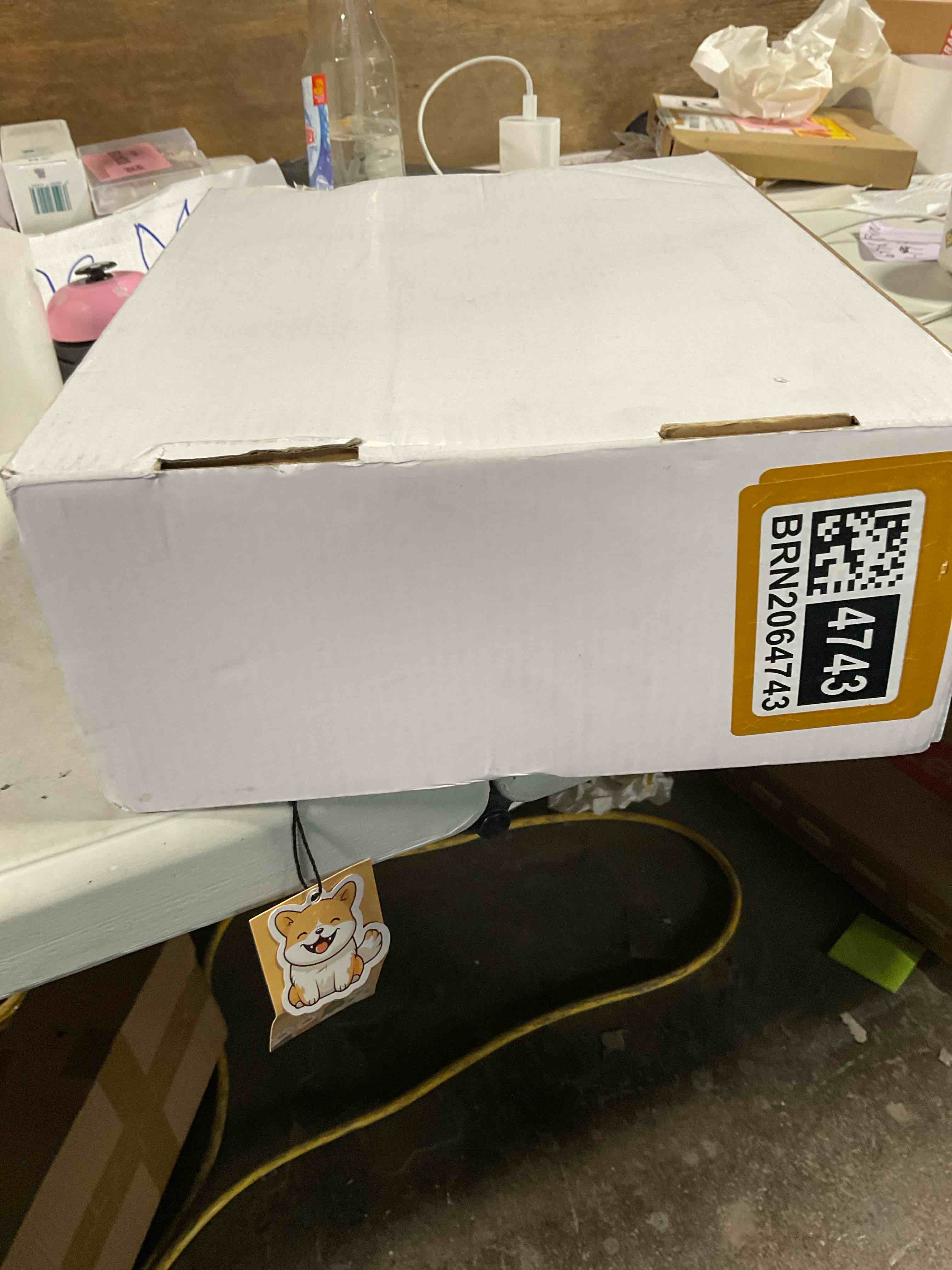 Condition photo showing New/Like New for Dog Cone Collar, M, Red