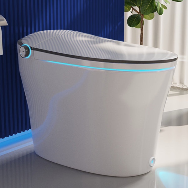 Smart Toilet