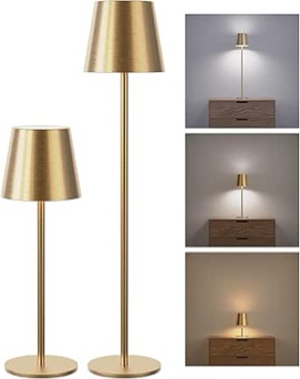 adjustable color lamp