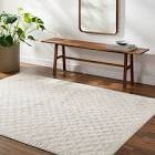 Catosha Indoor Rug