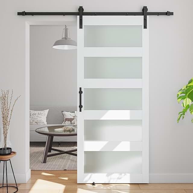 32 x 80 Glass Barn Door with 6ft Barn Door Assembly Kit