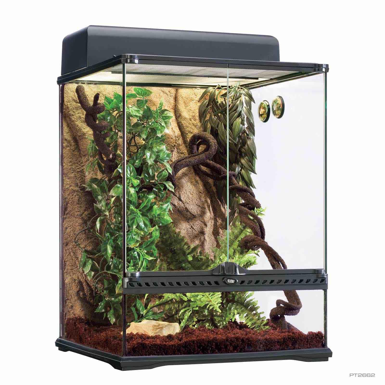 Exo Terra Rainforest Habitat Kit Medium 