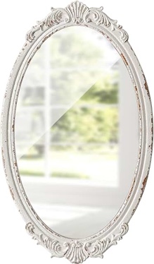 Dieudson Oval Aluminum Alloy Baroque Wall Mirror