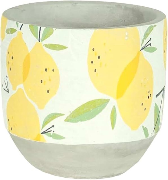 Layered Lemon Pot 13.5"x 7.75"