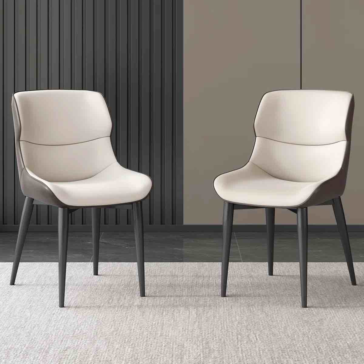 Abishan Modern Dining Chairs Set Of 2 For Kitchen, Bar, Living Room